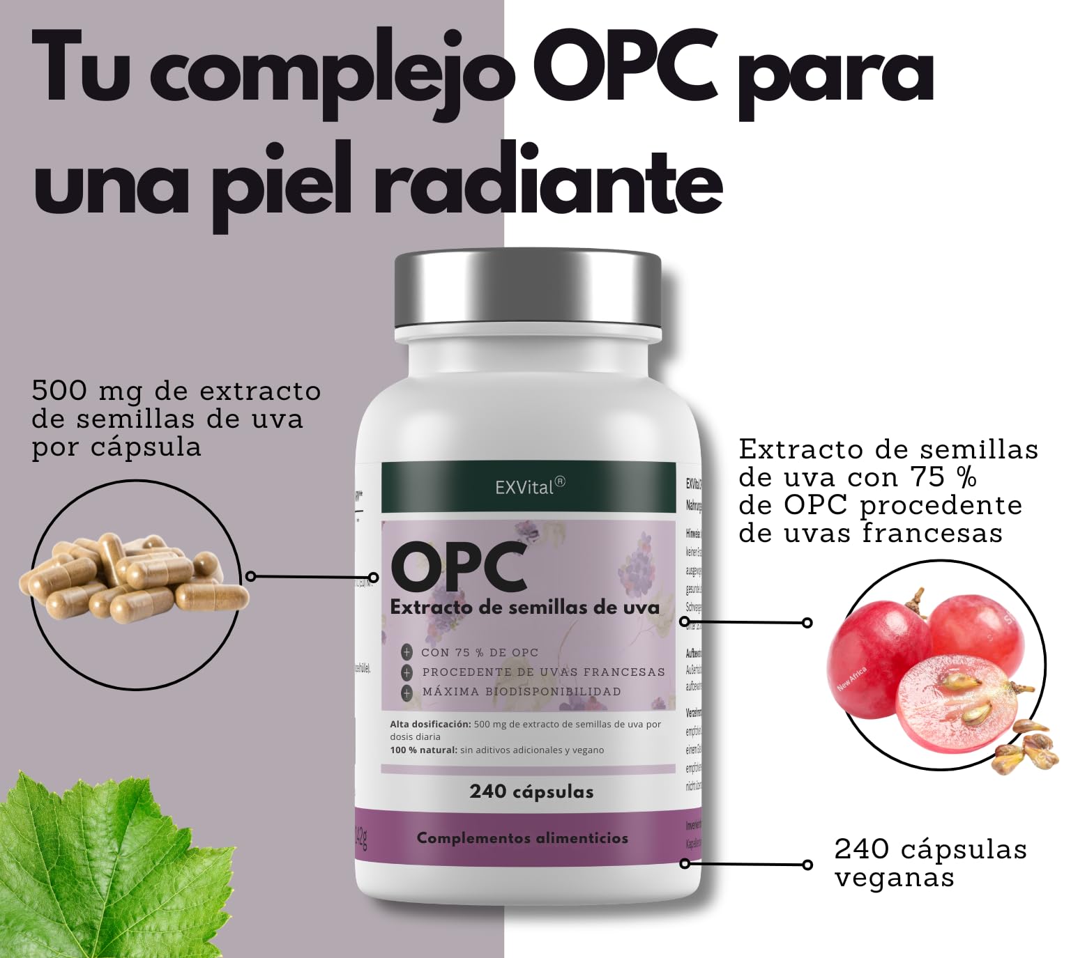 EXVital® OPC Extracto de semilla de uva - 240 cápsulas - alta dosis de 500 mg por cápsula - procedente de uvas francesas - probado en laboratorio y vegano