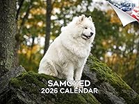 Vista 168 de Razas de Perros 2017