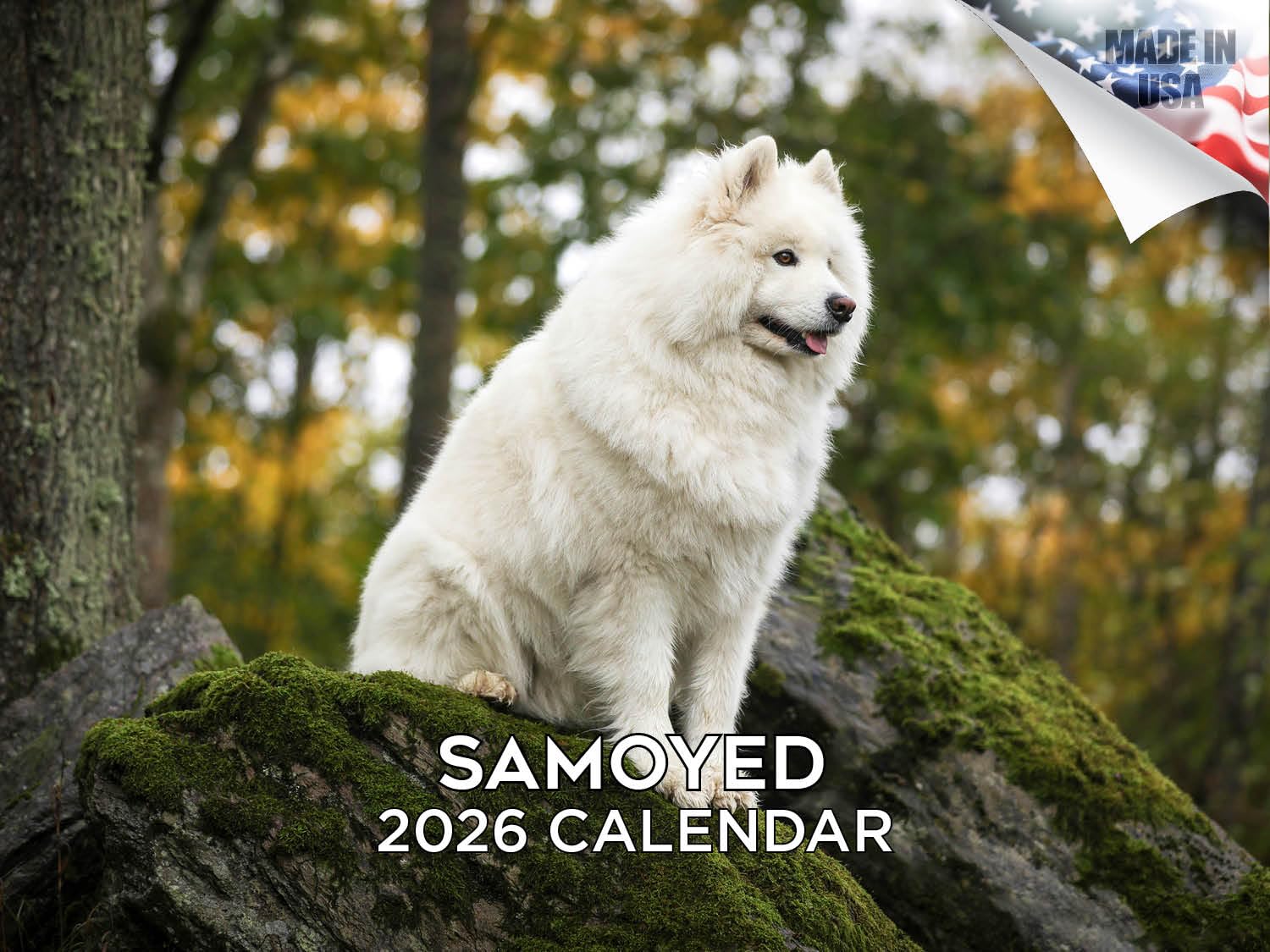 2024 2025 kalendarz samojed, miesięczny kalendarz ścienny z rasą psów, 30 x 45 cm, otwarty, gruby papier bez przebarwień, prezent - akademicki planer nauczyciela, kalendarz, organizowanie i planowanie