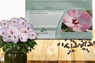Outsidepride Luna Pink Swirl Hibiscus Seeds - 10 Pcs Perennial Flower Seeds for Planting Pollinator-Friendly, Large & Elegant Blooms with Dense Dark Green Foliage for Containers, Pots, & Garden Spaces
