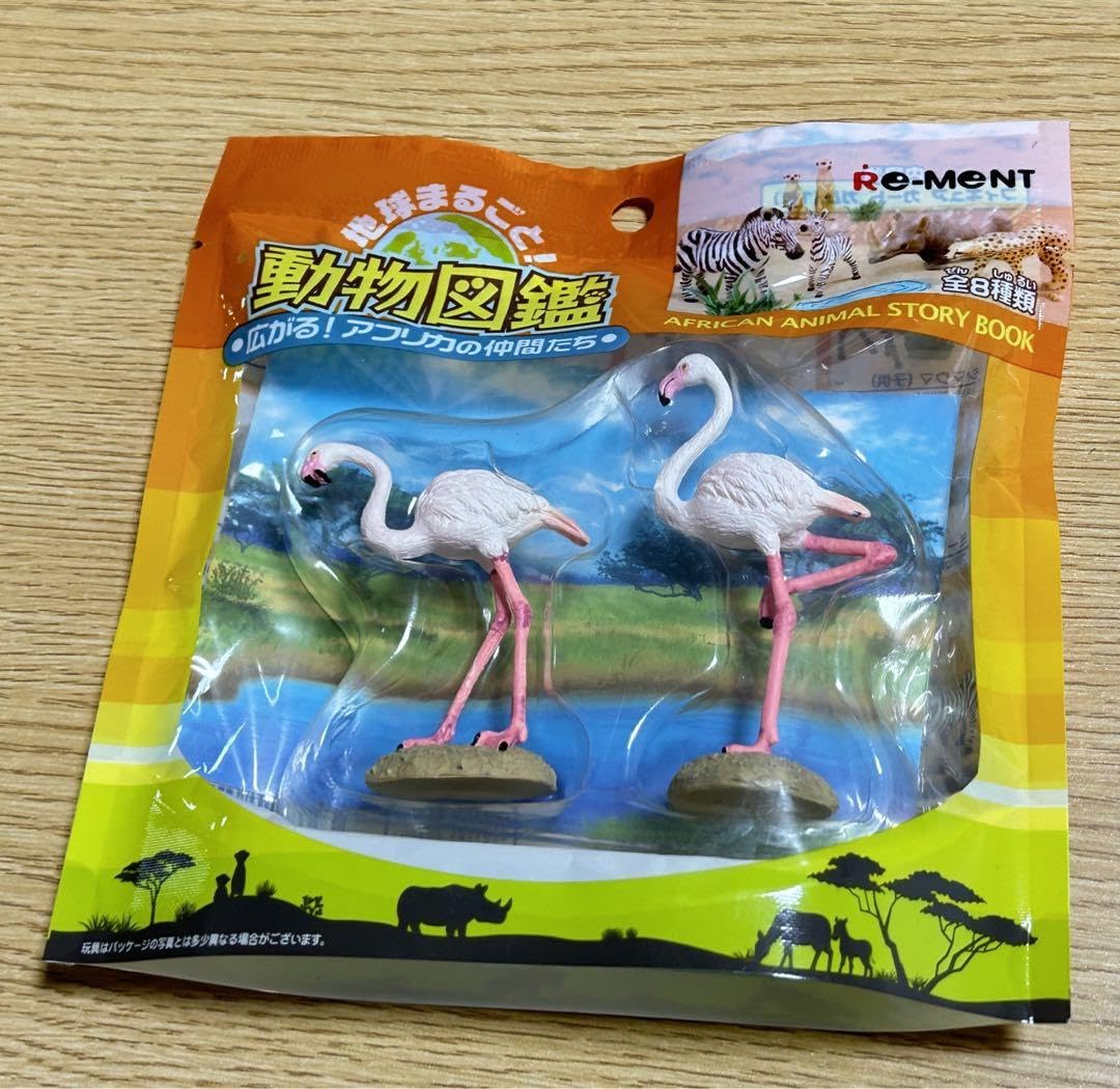 Amazon.co.jp: 動物図鑑 アフリカの仲間たち リーメント 6種類