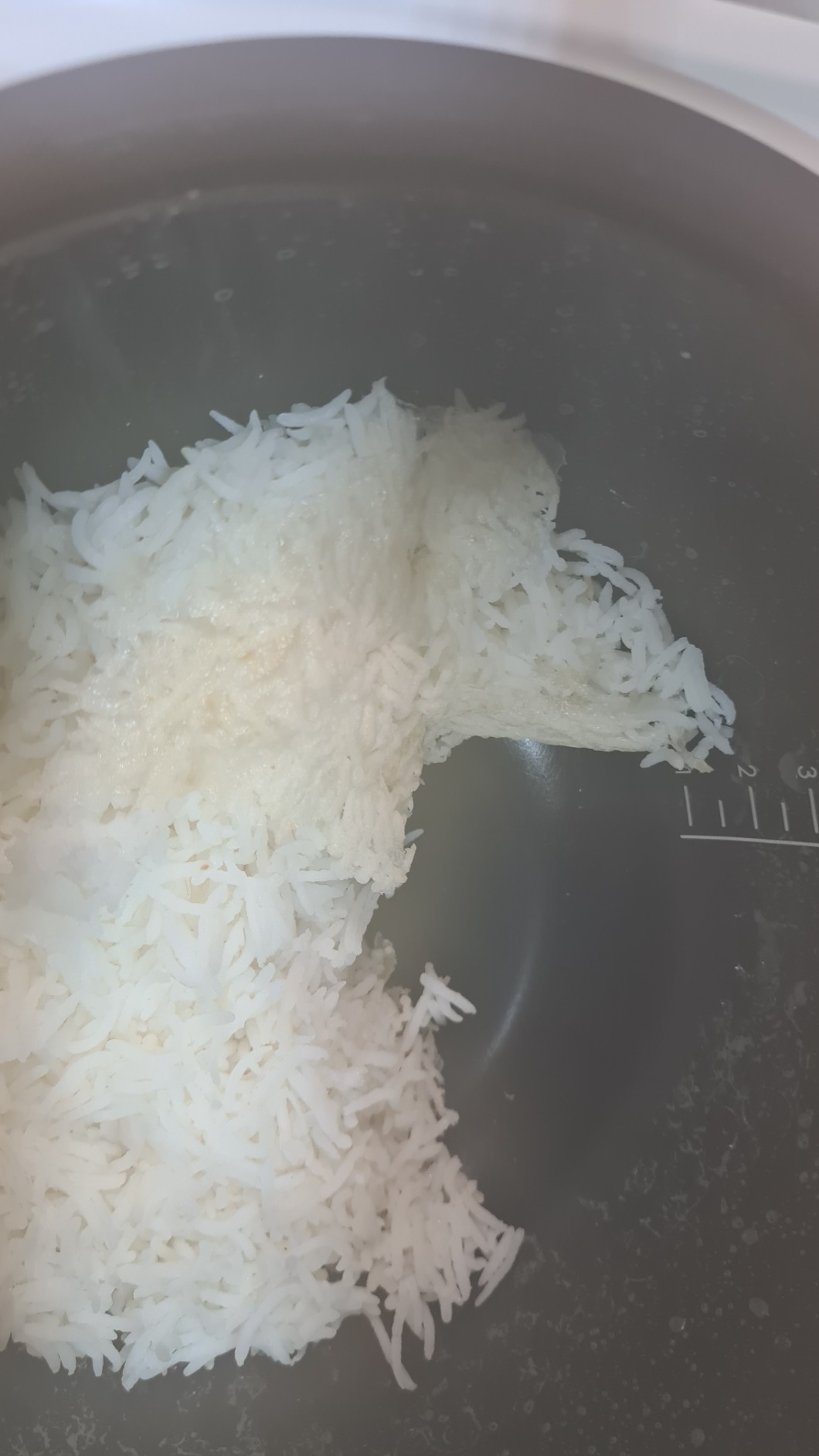 Xiaomi Mi Induction Heating Rice Cooker ZHF4009GL Rice Cookers Amazon