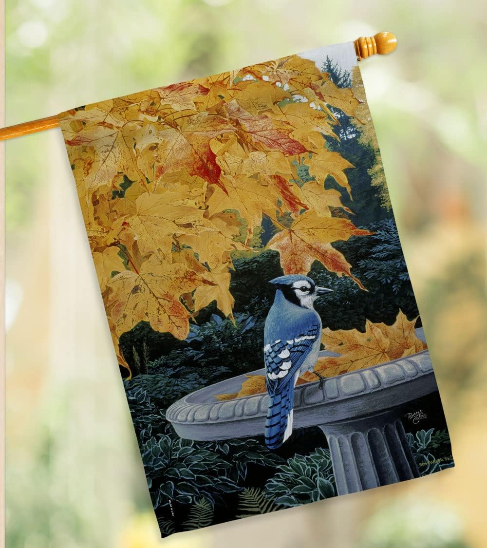 Breeze Decor - Autumn Birdbath Garden Friends - Everyday Birds Impressions Decorative Vertical House Flag 28" x 40" Printed in USA