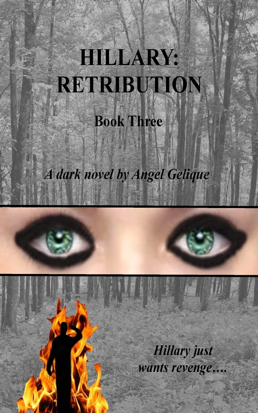 Hillary: Retribution: Volume 3 (Hillary Series)