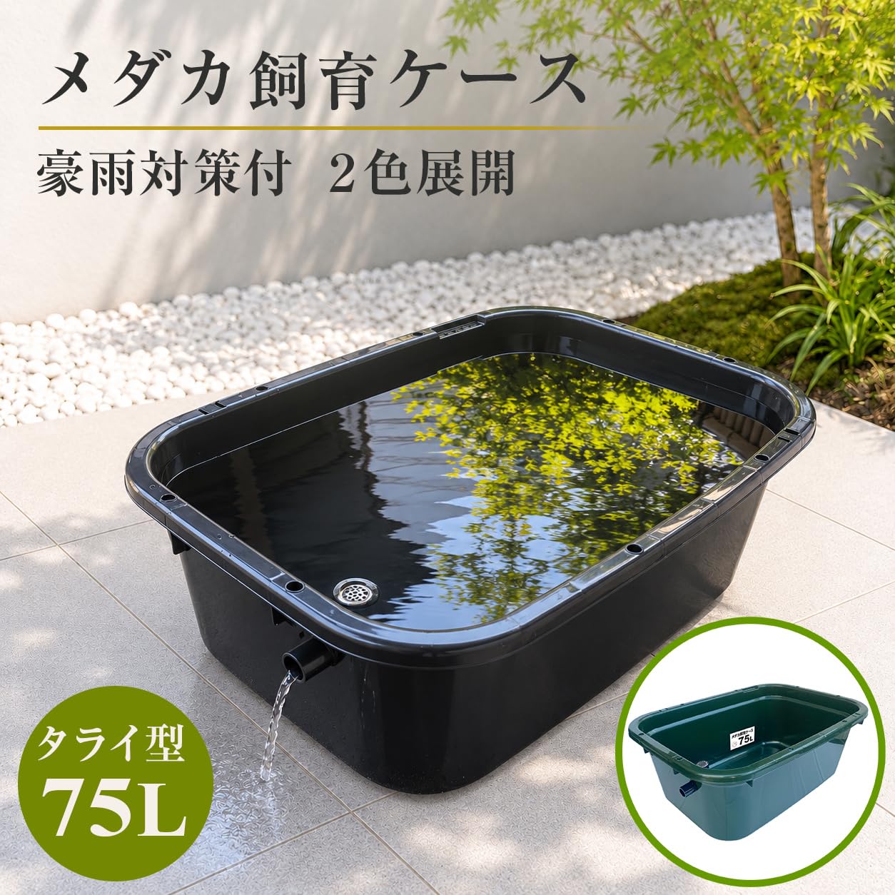 Amazon | 五色アクア メダカ飼育容器 75リットル 黒 オーバーフロー