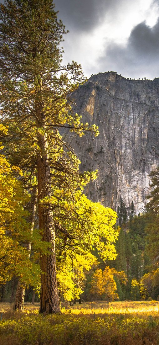 PeelitStickit ID-040 60 Width x 130 cm Height Mountain Vinyl Wall Mural