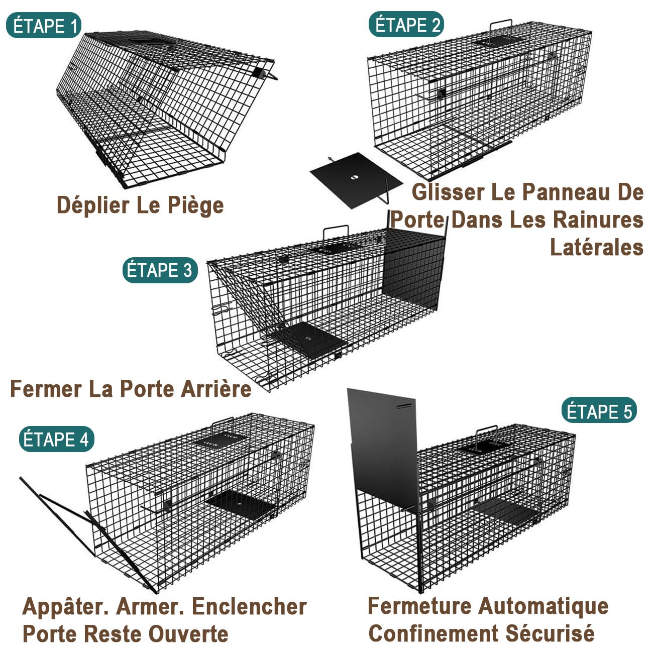 Amagabeli Piège animalier vivant 78x26x29cm pour chat, renard, rat