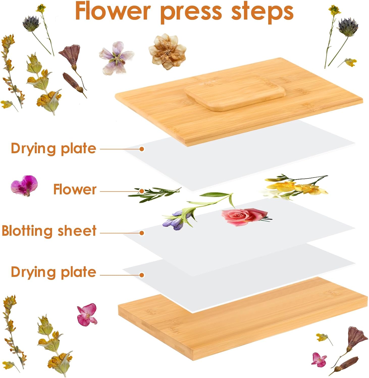 Flower Pressing Kit for Adults - 10.2 x 6.7 Inches 6 Layers Press Evenly Plant Drying Press Wood Dried Large Floral Preservation Kit for DIY Arts and Crafts