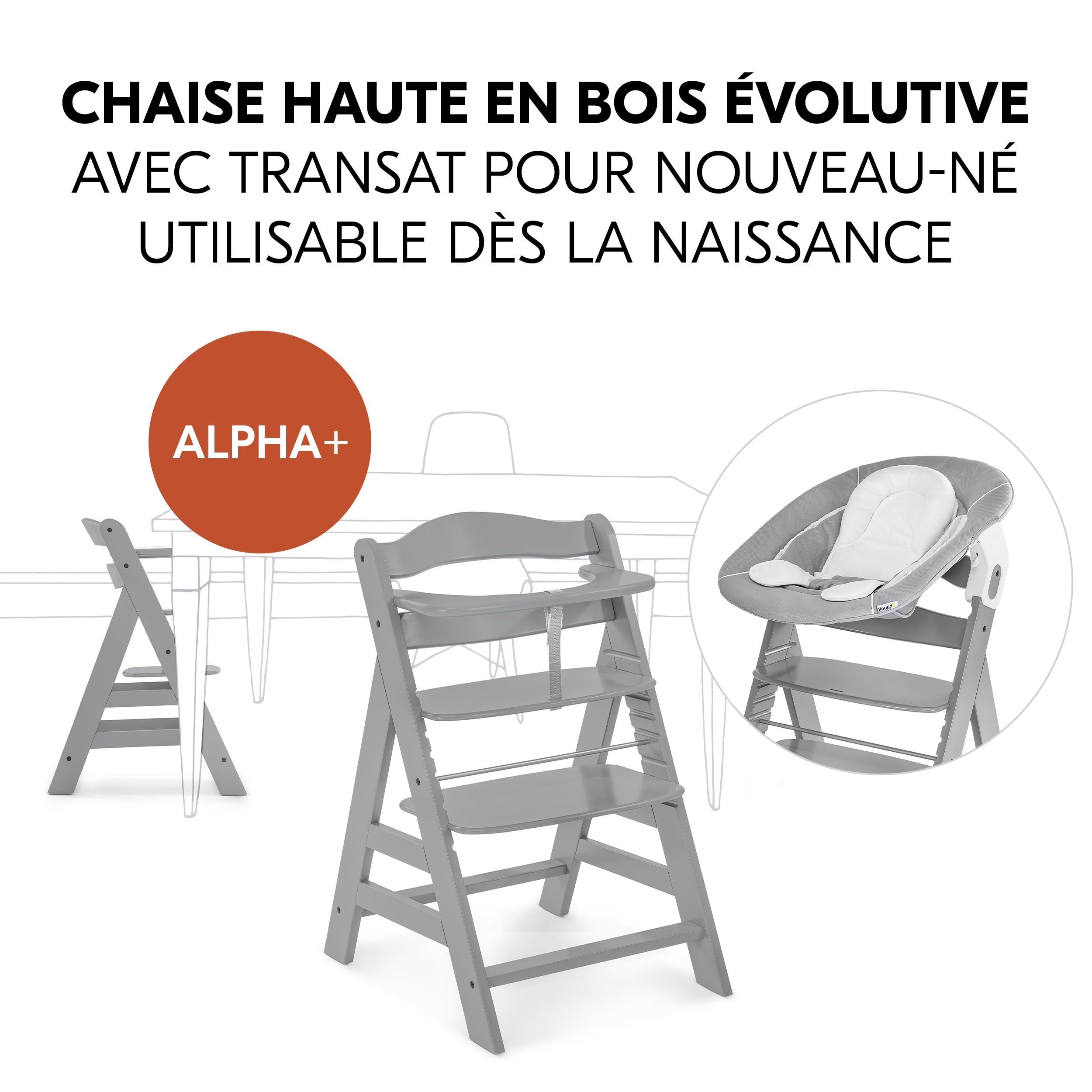 hauck Chaise Haute Bébé Alpha+ avec Siège Nouveau-Né 2 en 1 - Grey | Chaise haute évolutive en bois, de la naissance à 90 kg, inclus assise bébé, coussin et harnais 5 points