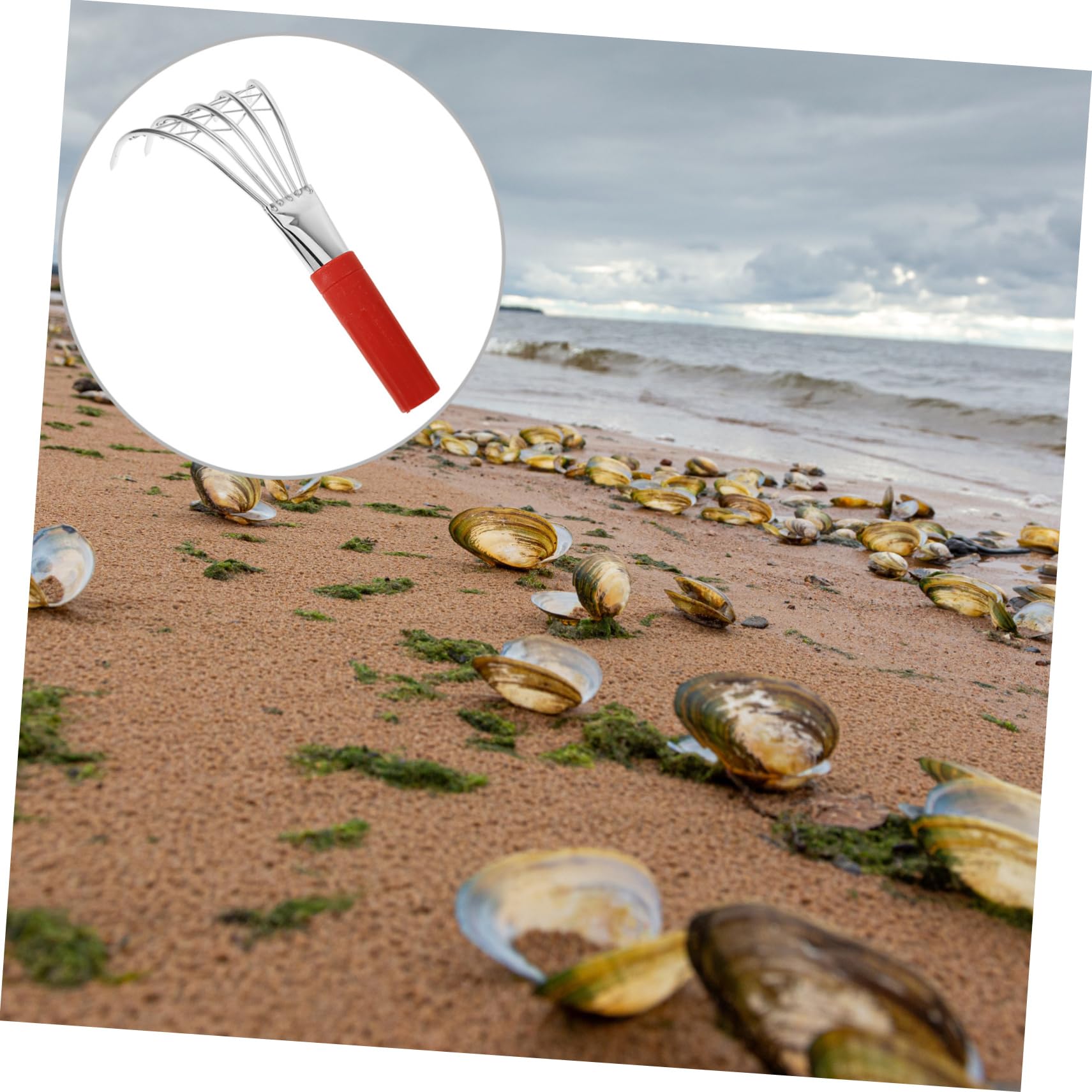 TOYANDONA 4 Stück Handrechen für Muschelsuche Robuster Klauenrechen Graben Erde Leicht und Tragbar für Strand und Garten