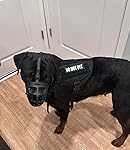 Review Image by Madison Madison