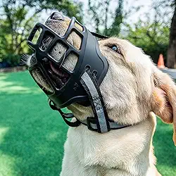 Focinheira de Segurança Respirável para Cães, com Faixa Refletiva, Ajustável, Material TPR e Nylon, Tamanhos: 0, 1, 2, 3, 4, 5, 6 (Número: 4)