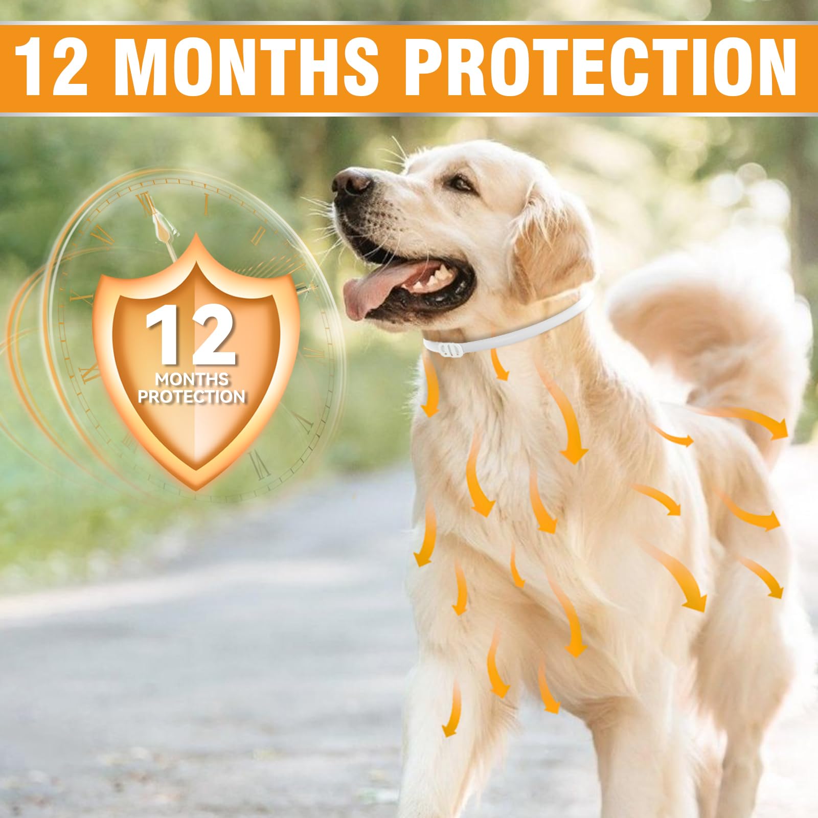 Collare Antiparassitario Per Cani, 12 Mesi Di Protezione Efficace, Collare Antipulci Cane Da 65cm, Regolabile e Impermeabile, Efficace Repellente Per Insetti, Adatto a Cani Di Tutte Le Taglie (1 Pack)