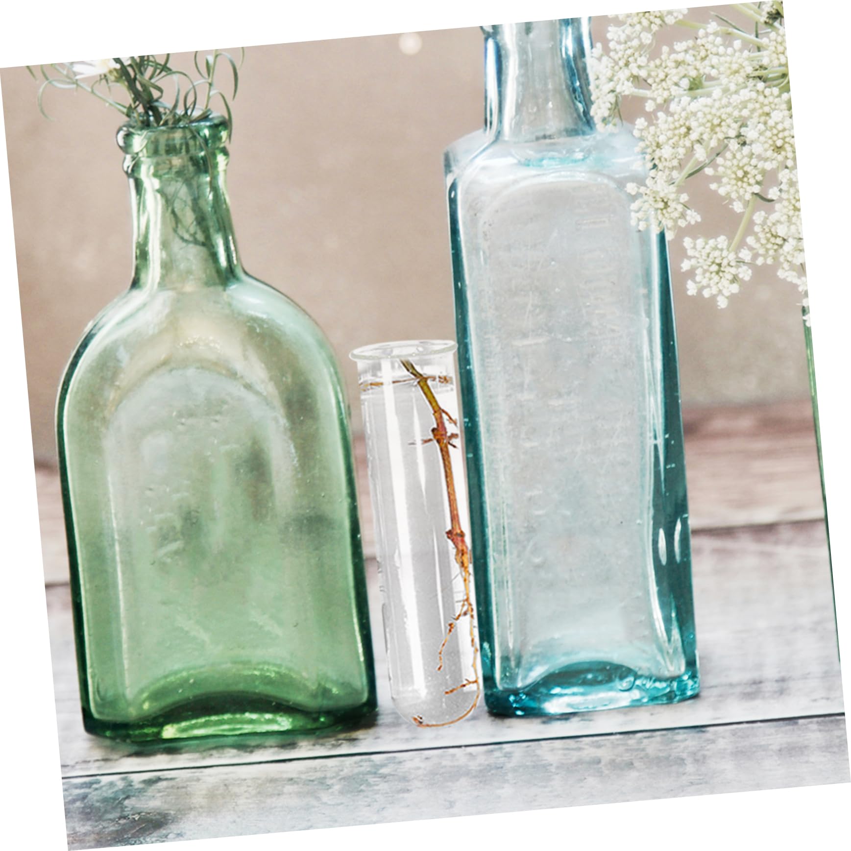 Alipis 16pièces Vase Hydroponique pour Éprouvettes De Propagation Support Élégant pour Terrarium Décoratif pour Plantes Intérieur