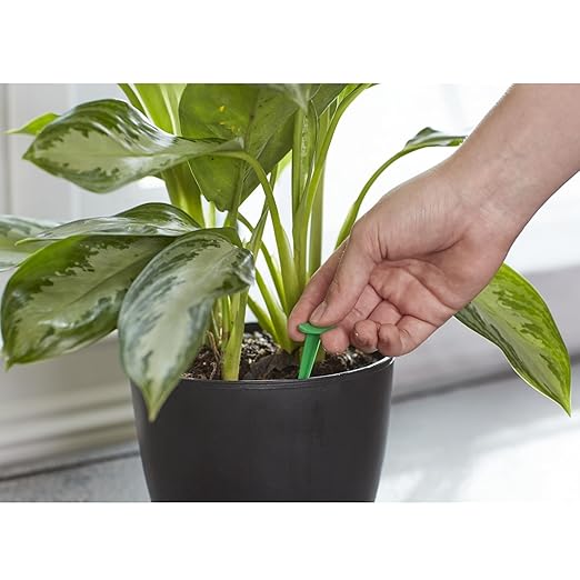 Espigas Fertilizantes para Plantas, Fórmula 6-12-6 miniatura 3