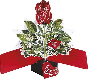 3D Pop Up Greeting Card by Second Nature - SINGLE ROSE