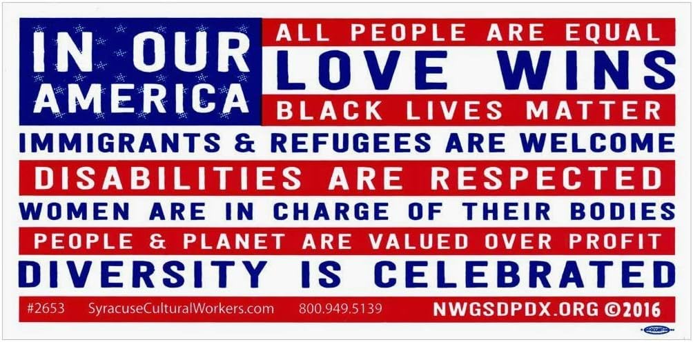 in Our America Black Lives Matter and Love Wins Diversity Bumper Sticker Car Decal 7.75-by-3.75 Inches : Automotive