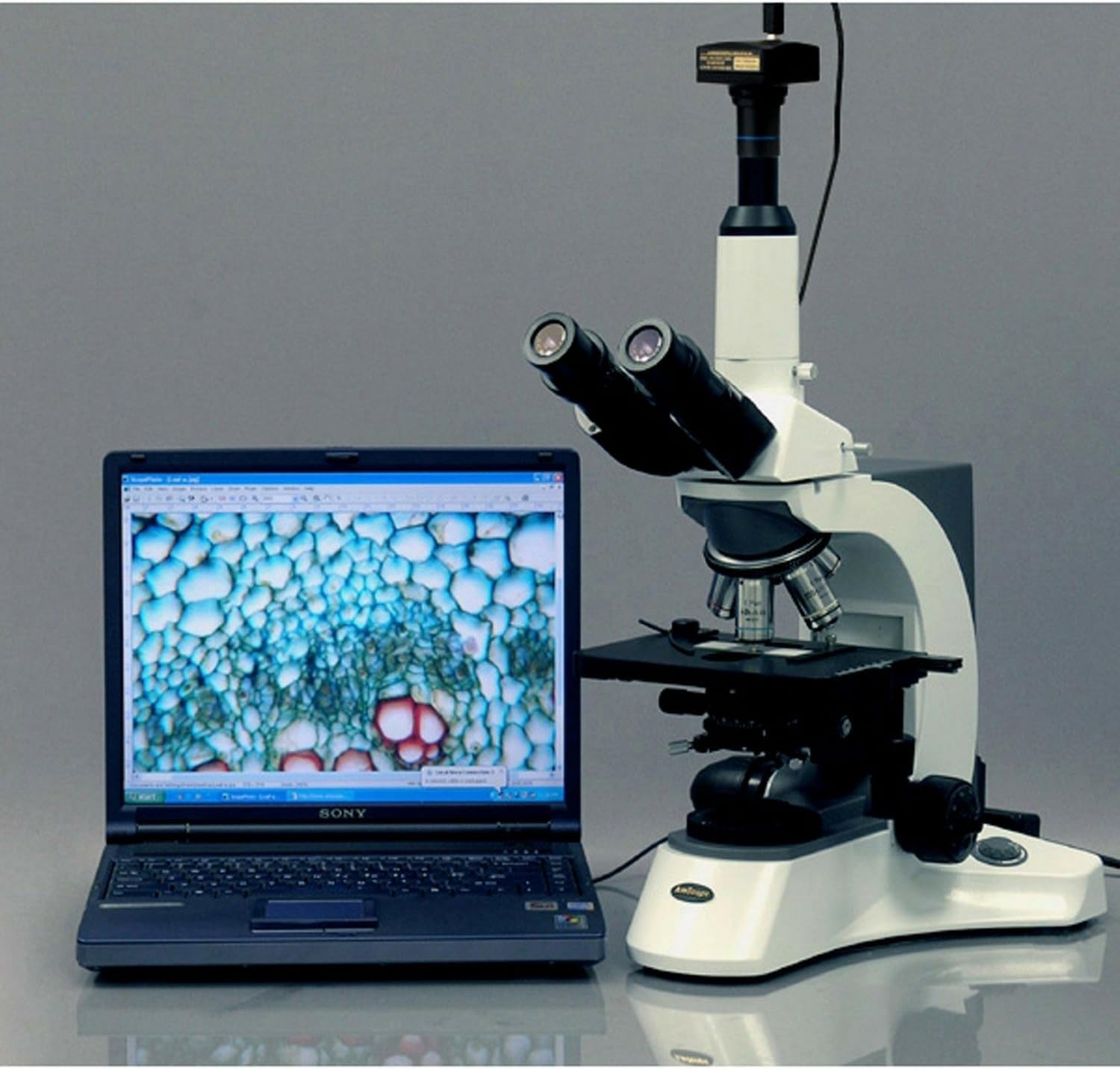 AmScope Mu503 5 MP USB3.0 en temps réel vidéo en direct microscope Digital Camera