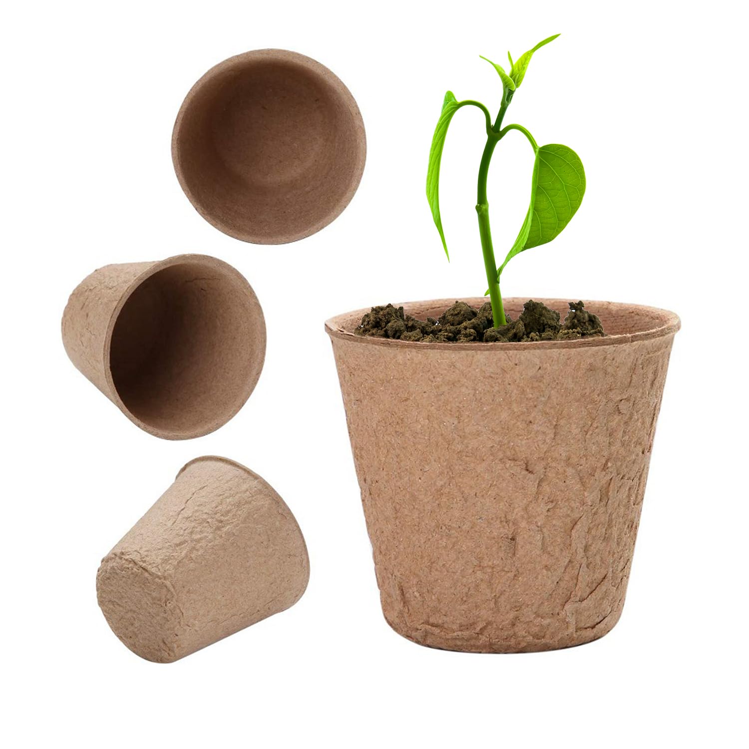 50 Pieces of Seedling Pots, 50 Pieces of Pointed Labels, 2 Pieces of Seedling Tools, Biodegradable Seedling Pots, Seed Starter Trays, Suitable for Fruit Seedlings, Flower Plants, And Succulent Plants - Image 3