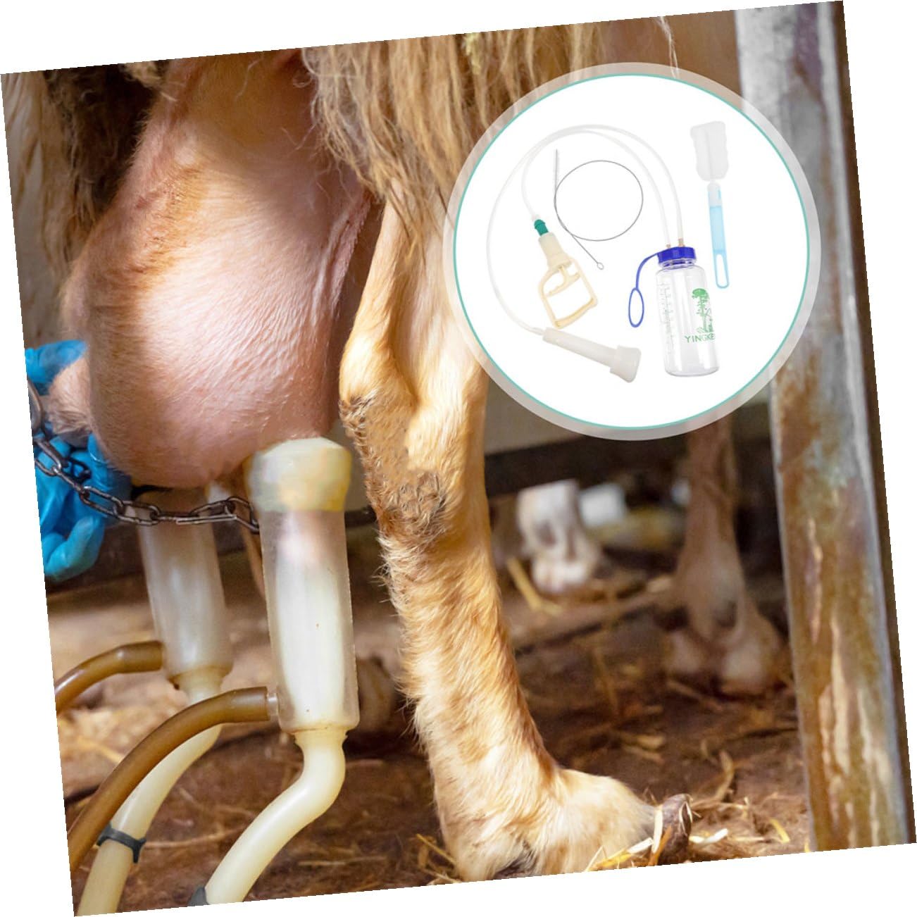 VANZACK Mungitrice Portatile Manuale Per Pecore e Mucche Completo Bottiglia Pp Trasparente Resistente e Leggera Facile Da Pulire e Trasportare Per Piccole Aziende Agricole o Uso Domestico