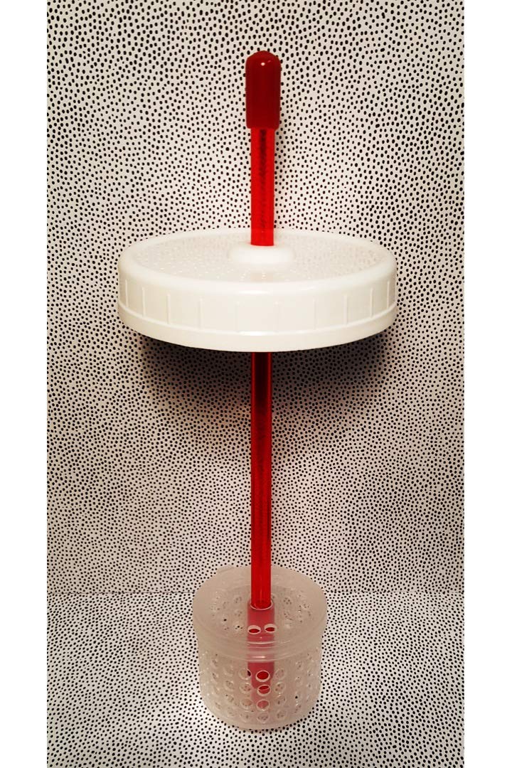 Kefir Fermenter: Parts Set for Use with Jar (Wide Mouth) You Already Have WITH KEFIR GRAINS