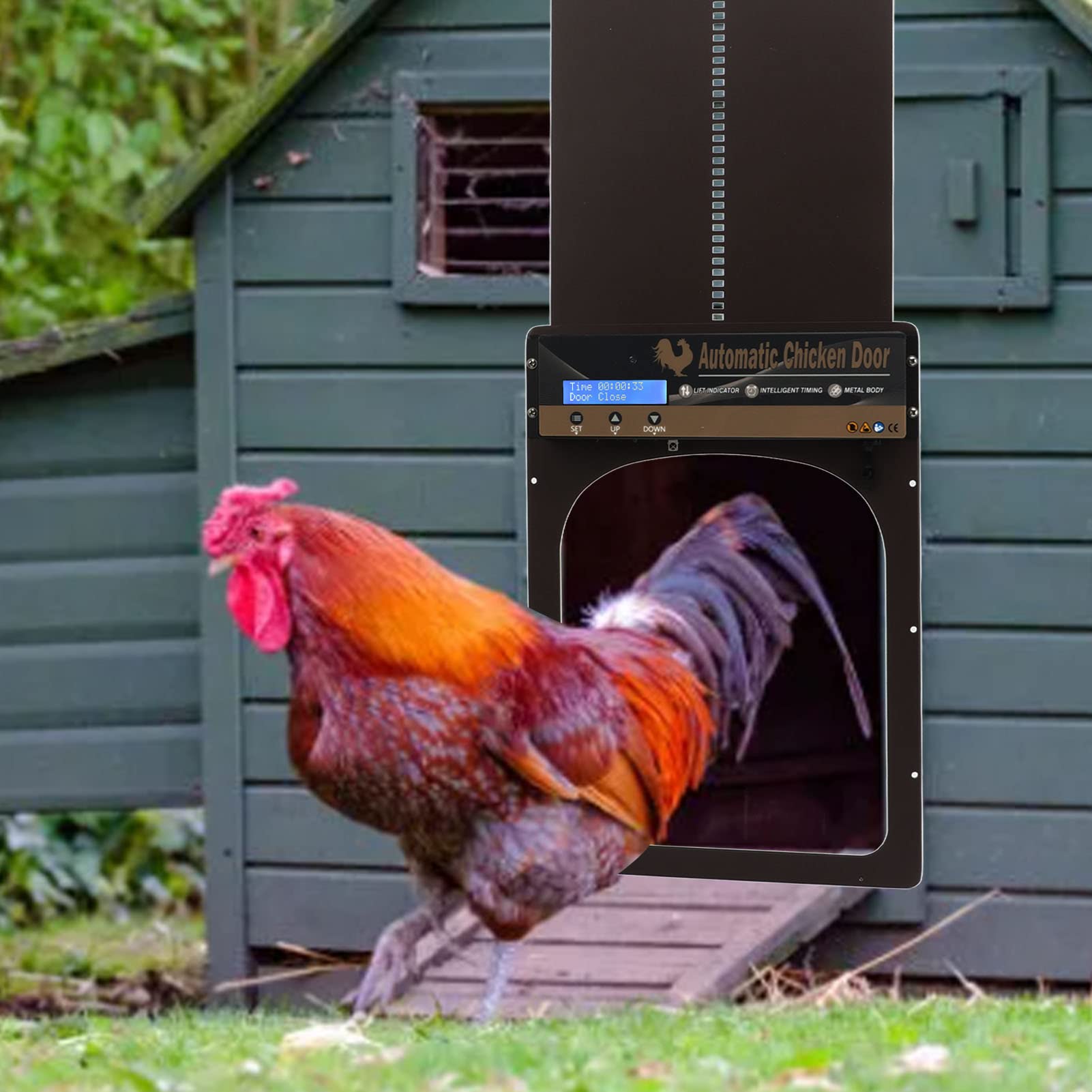 Porta automatica per pollaio 3 in 1, apriporta automatico per pollaio con sensore di luce e timer, telecomando, porta elettrica per pollaio, porta in metallo per pollaio per polli, anatre, oche (UK)