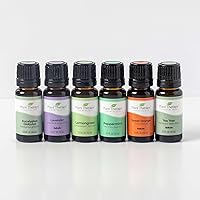 Vista 2 de Plant Therapy Breathe Easy - Juego de 6 botellas de aceite esencial de 0.3 fl oz cada una, lavanda, eucalipto, menta, citronela, naranja dulce