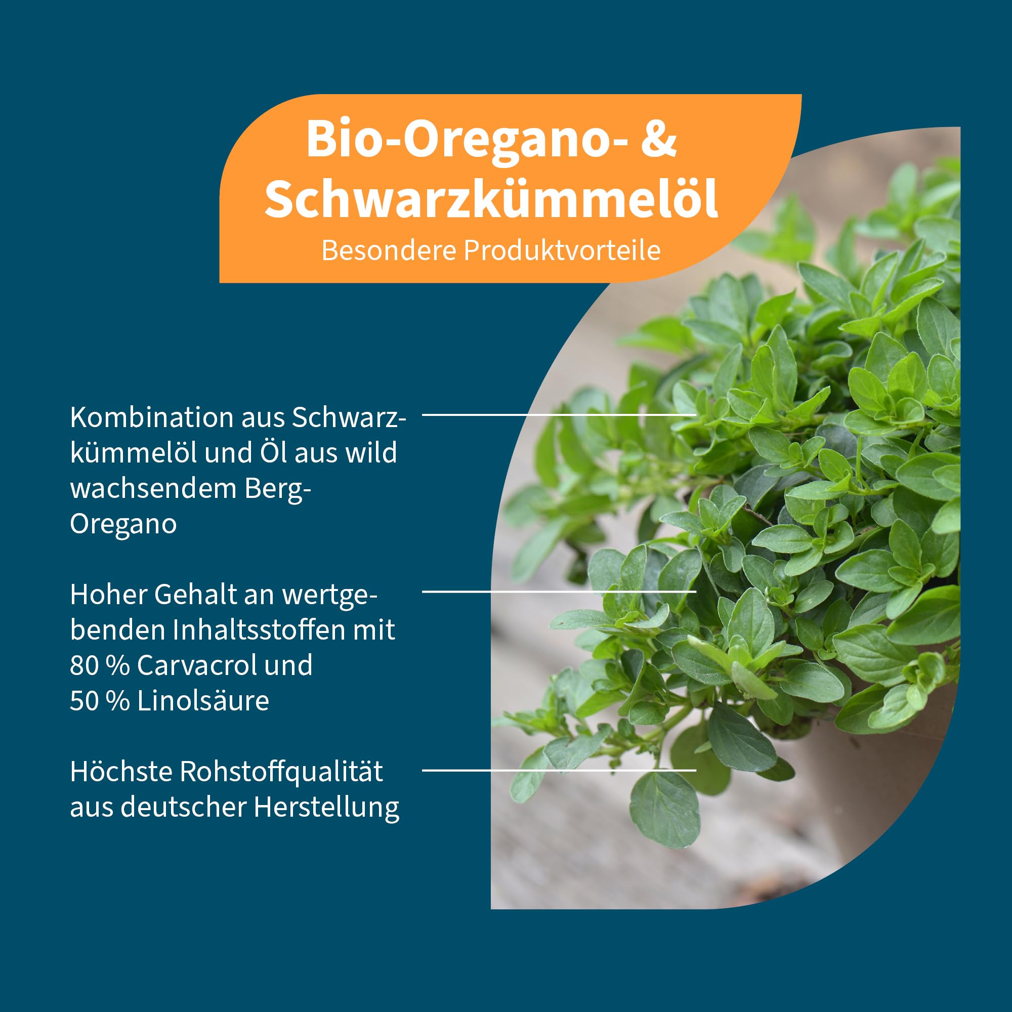 NatuGena Oregano- & Schwarzkümmelöl, 550 mg Schwarzkümmelöl, 150 mg Oreganoöl, 120 mg Carvacrol, vegane Kapseln ohne Gelatine, linolsäurehaltig, 90 Kapseln für 90 Tage