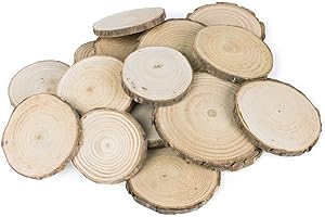 Mini Birch Rounds for Arts & Crafts and Home Decor