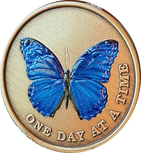 Miniatura 4 de Mariposa de color azul un día a la vez Medallón serenidad oración bronce chip, Bronce, No es una piedra preciosa