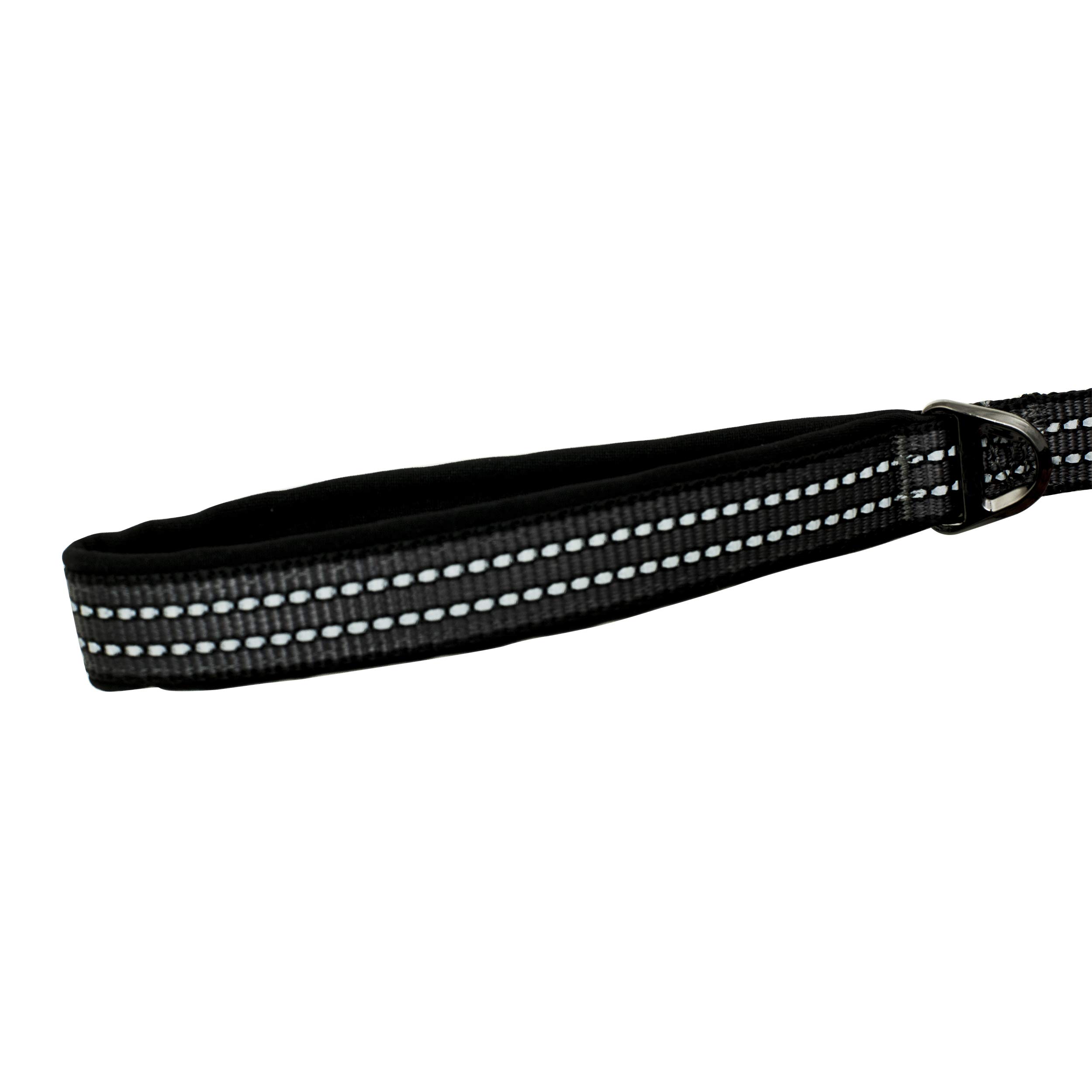 Franklin Pet Supply Hundeleine – 1,8 M, Reflektierend, Mit Neopren-Griff, Grün
