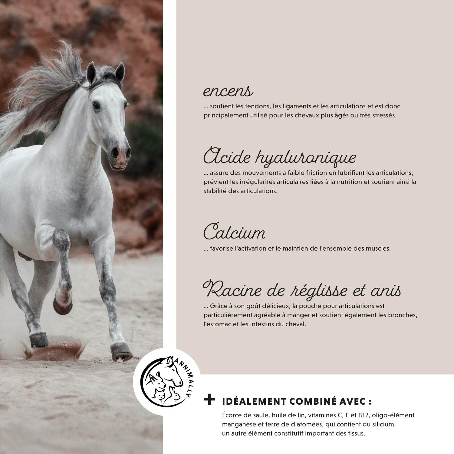 Poudre pour articulation cheval 850g avec collagène, camomille, MSM cheval (soufre), glucosamine cheval, acide hyaluronique, chondroïtine - Complément alimentaire pour renforcer arthrose cheval