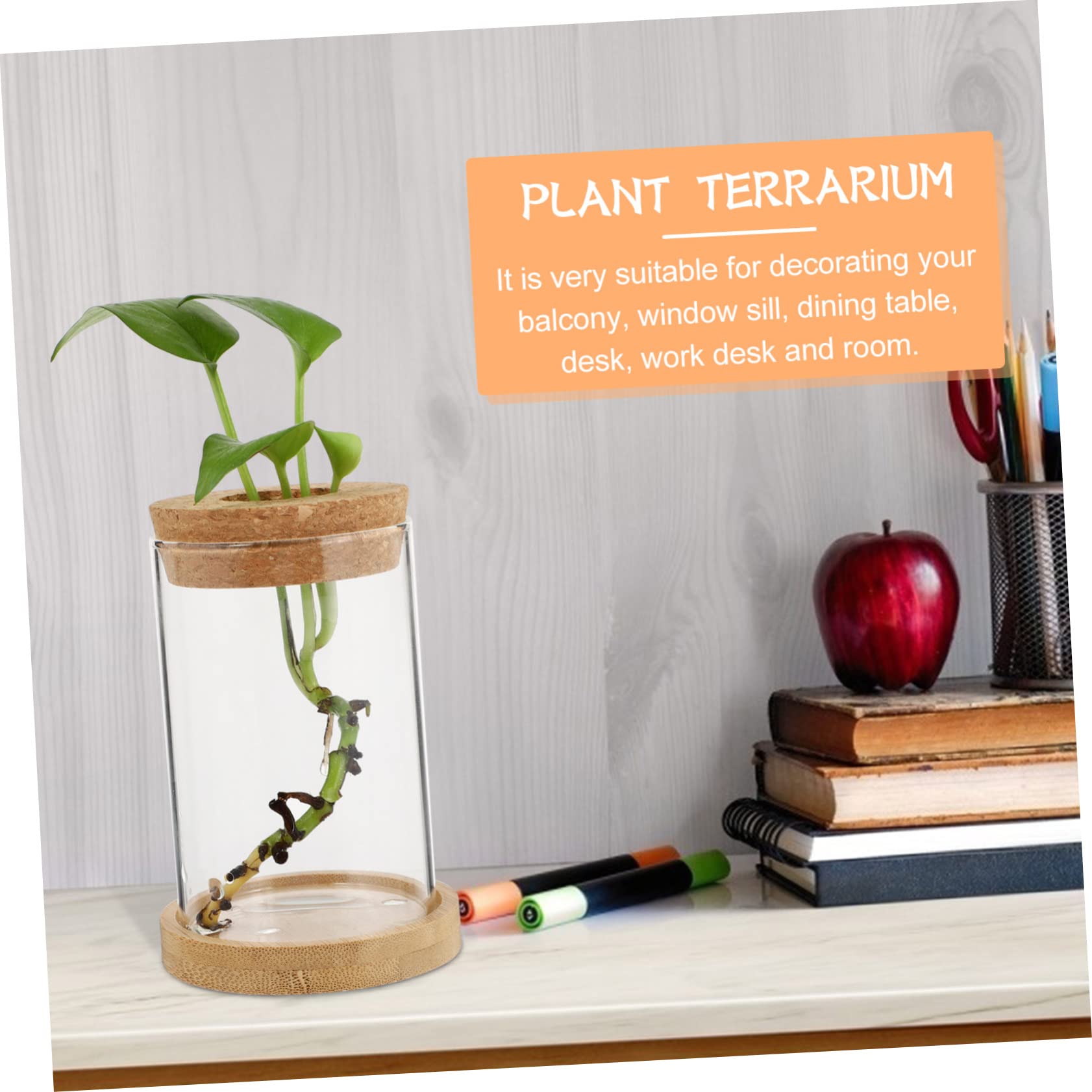 TOPBATHY 3 Ensembles Bouteille Éco Terrarium Végétal Propagé Vases pour Centres De Table Terre Cuite Décoration De La Maison Tuyau Bureau De Pots De Fleurs en Bois Transparent 2 Pièces * 3