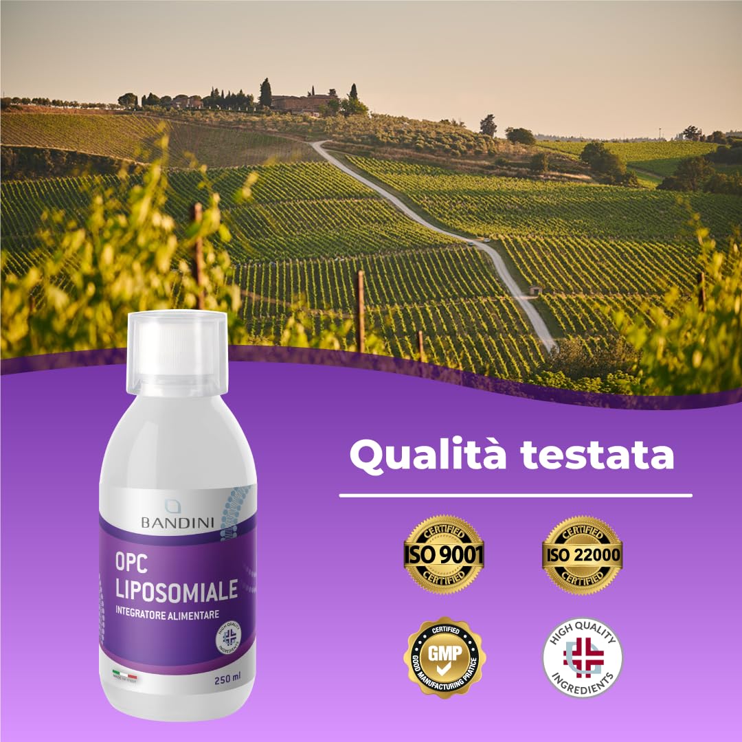 Bandini® OPC Liposomiale Liquido 250ml - Estratto di Semi d'Uva 95% OPC (200mg a Dose) - Formula Assorbimento Ottimale con Tecnologia Liposomiale - Integratore Antiossidante Naturale - Per 25 giorni