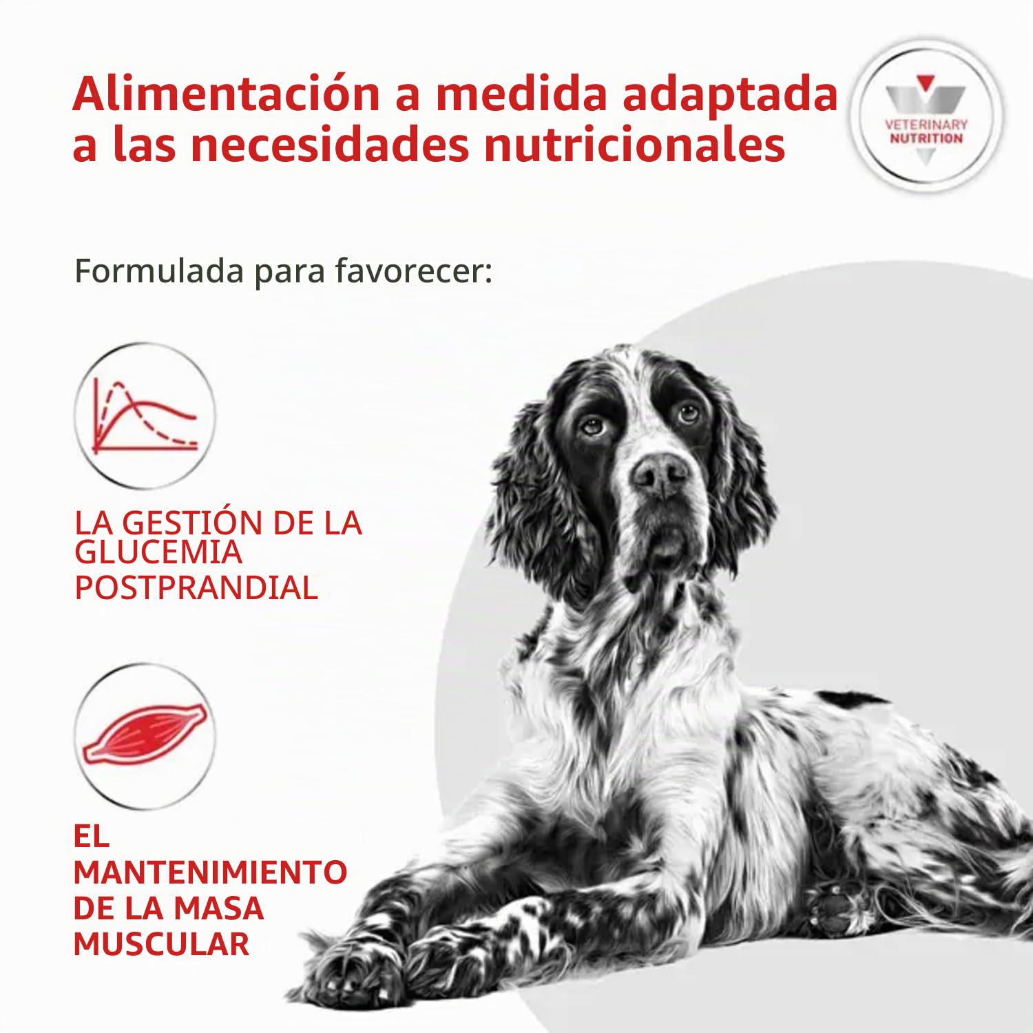 Royal Canin Alimento para Perros Diabetic DS37-12 kg