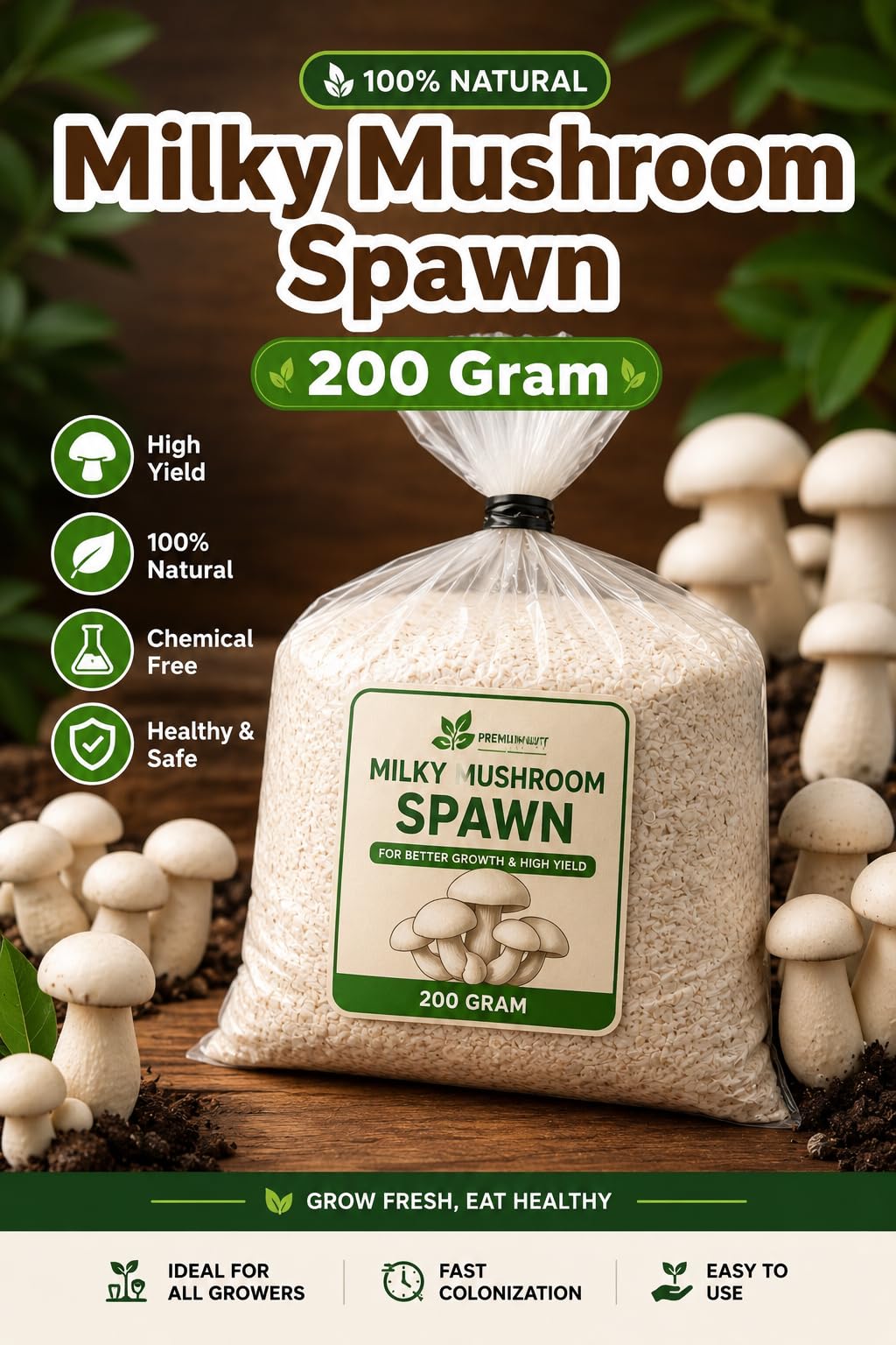 Milky Mushroom Spawn 200g, 100% Organic & Natural — Amazon image 2