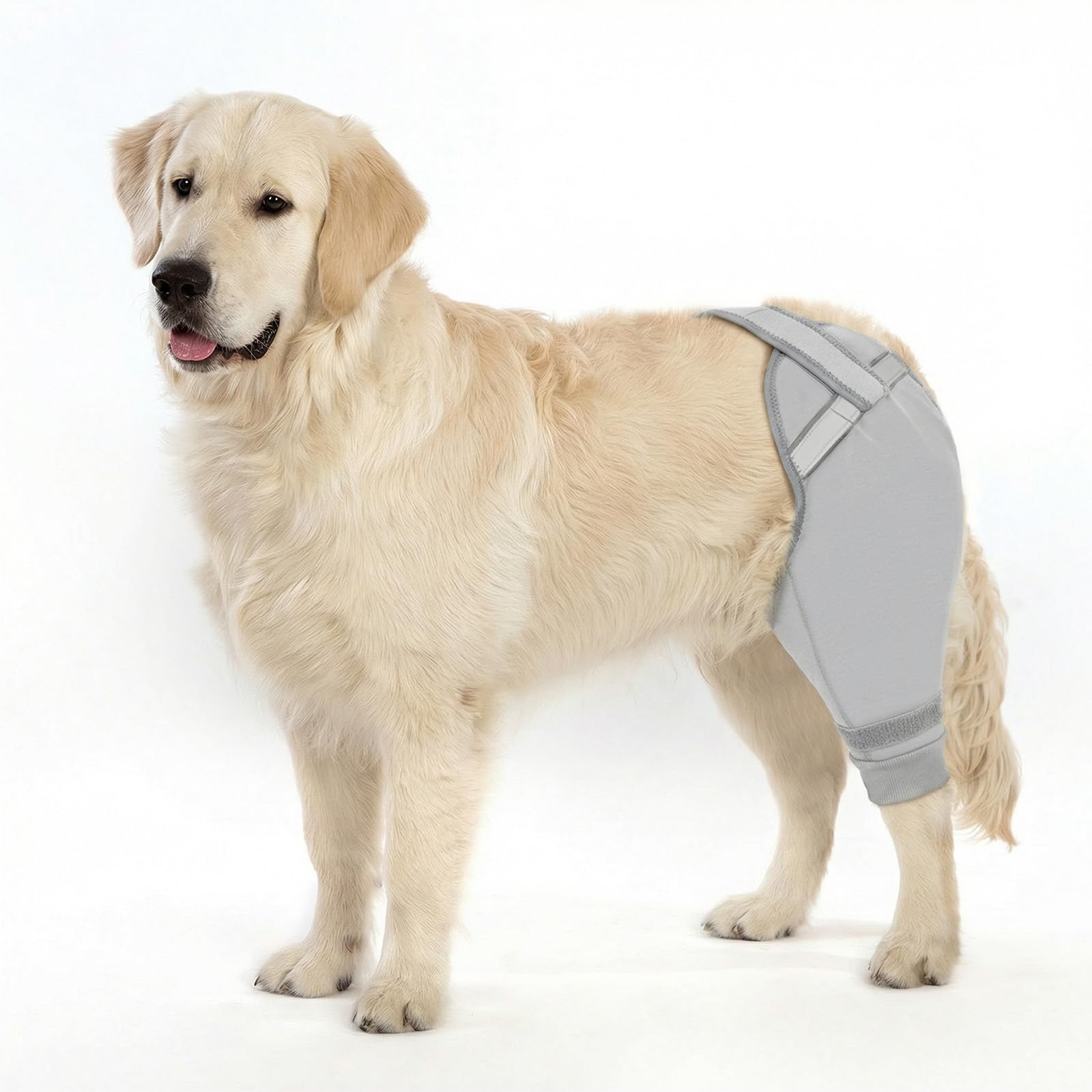 Manchon arrière de jambe pour chien gris protège-plaie post-chirurgie TPLO