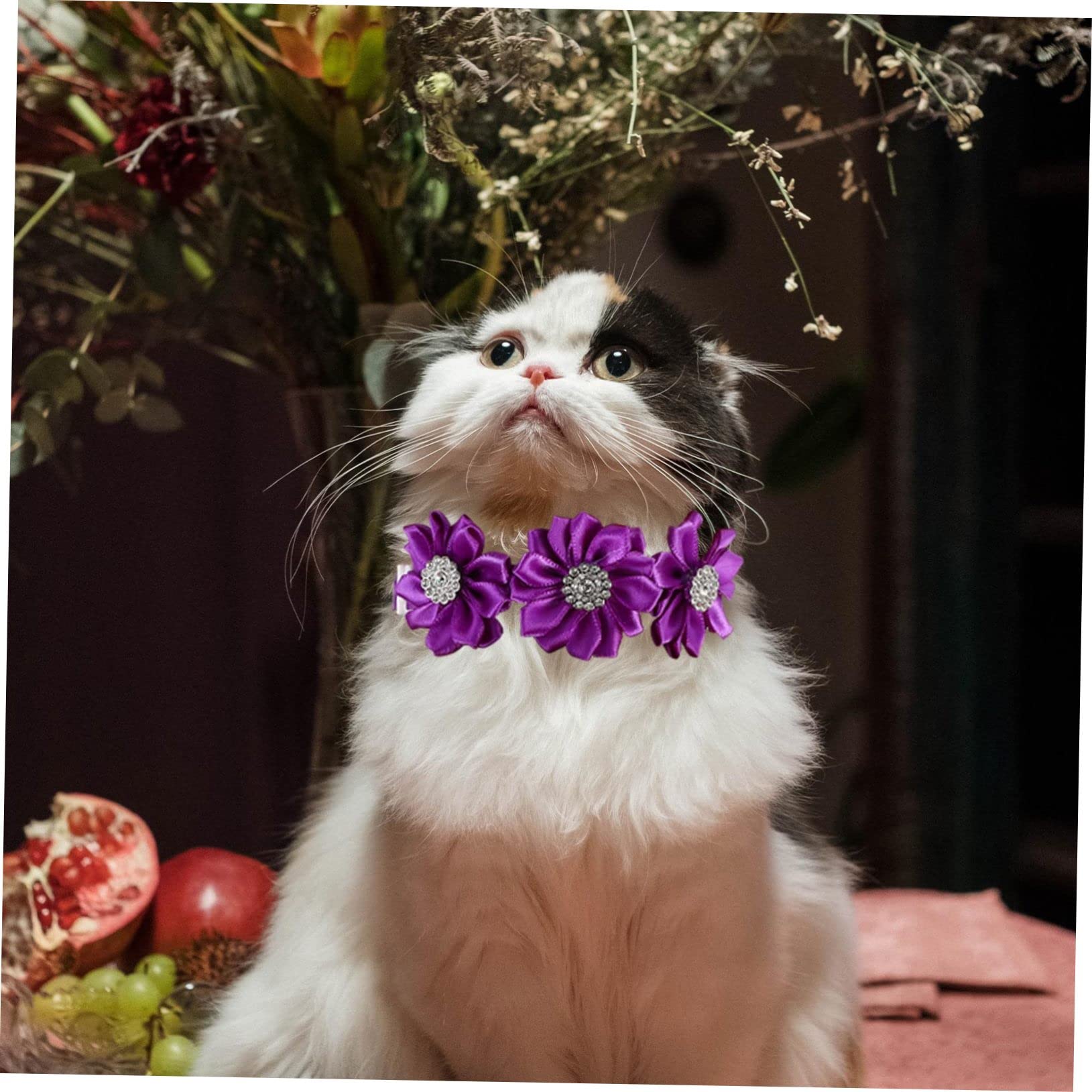 BESPORTBLE 36stücke Verstellbare Katzen Und Hundehalsbänder Mit Blumen Und Strasssteinen Dekorative Fliegenhalsbänder Für Haustiere Für Partys Und Fotoshootings