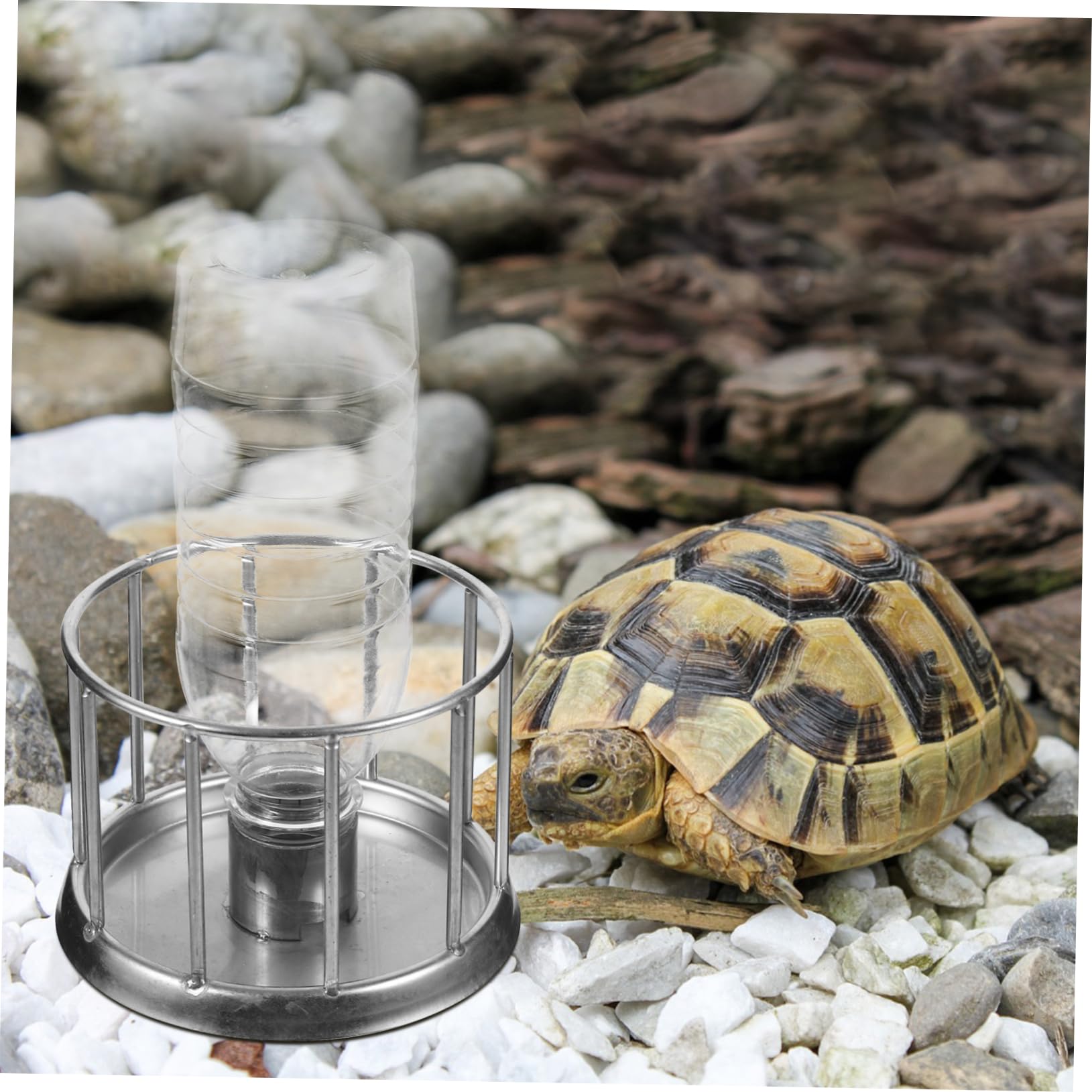 INOOMP 2pezzi Mini Ciotola Per Tartarughe Inossidabile Dispenser Per Rettile Per Tartarughe Terrestri Design e Antispruzzo Accessorio Per Dei Rettili