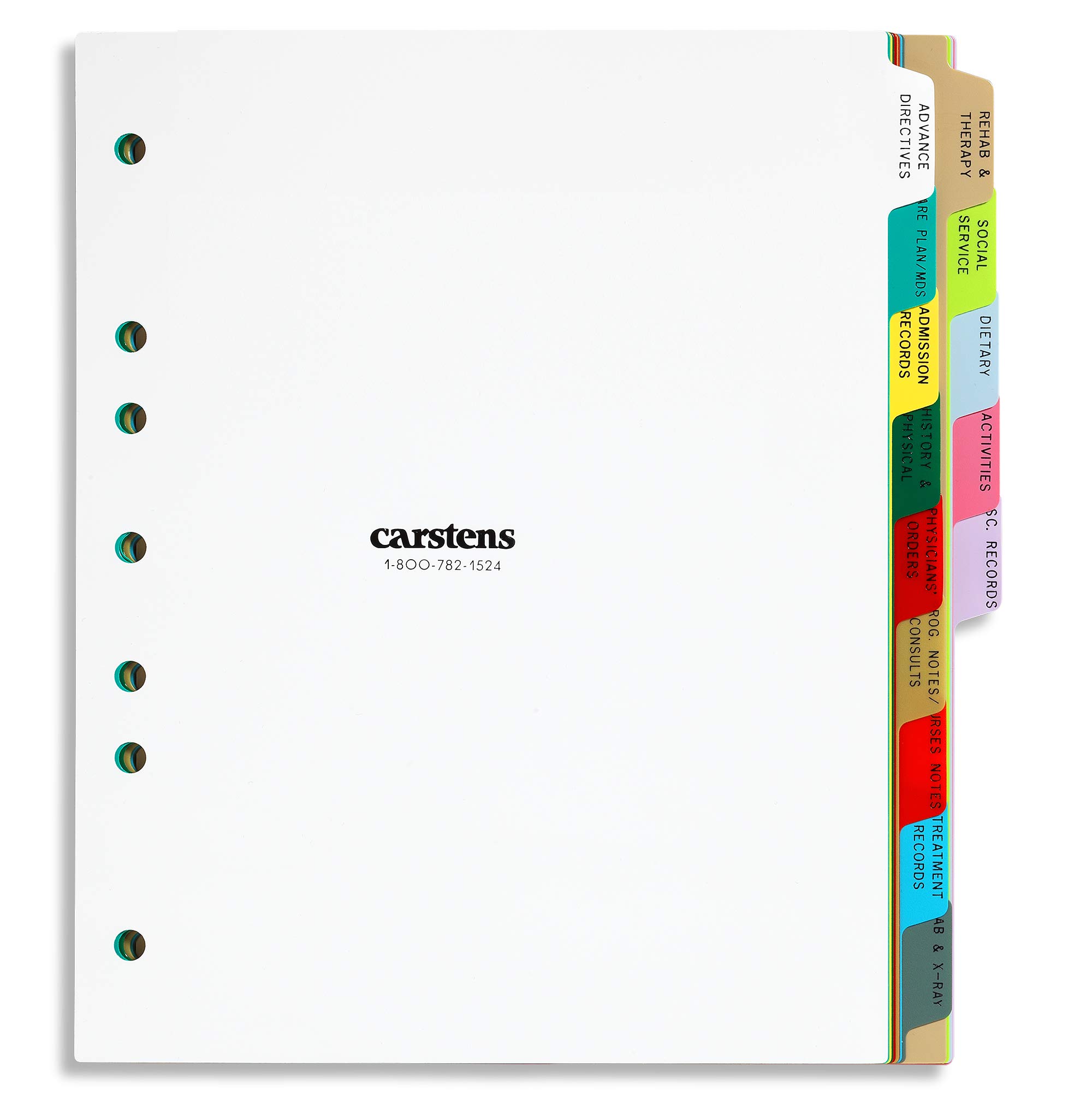 Carstens Heavy Duty Plastic Long-Term Care Divider Set, 14-Tab Type II, 2630-00, for Side-Opening 3-Ring and 5-Ring Binders