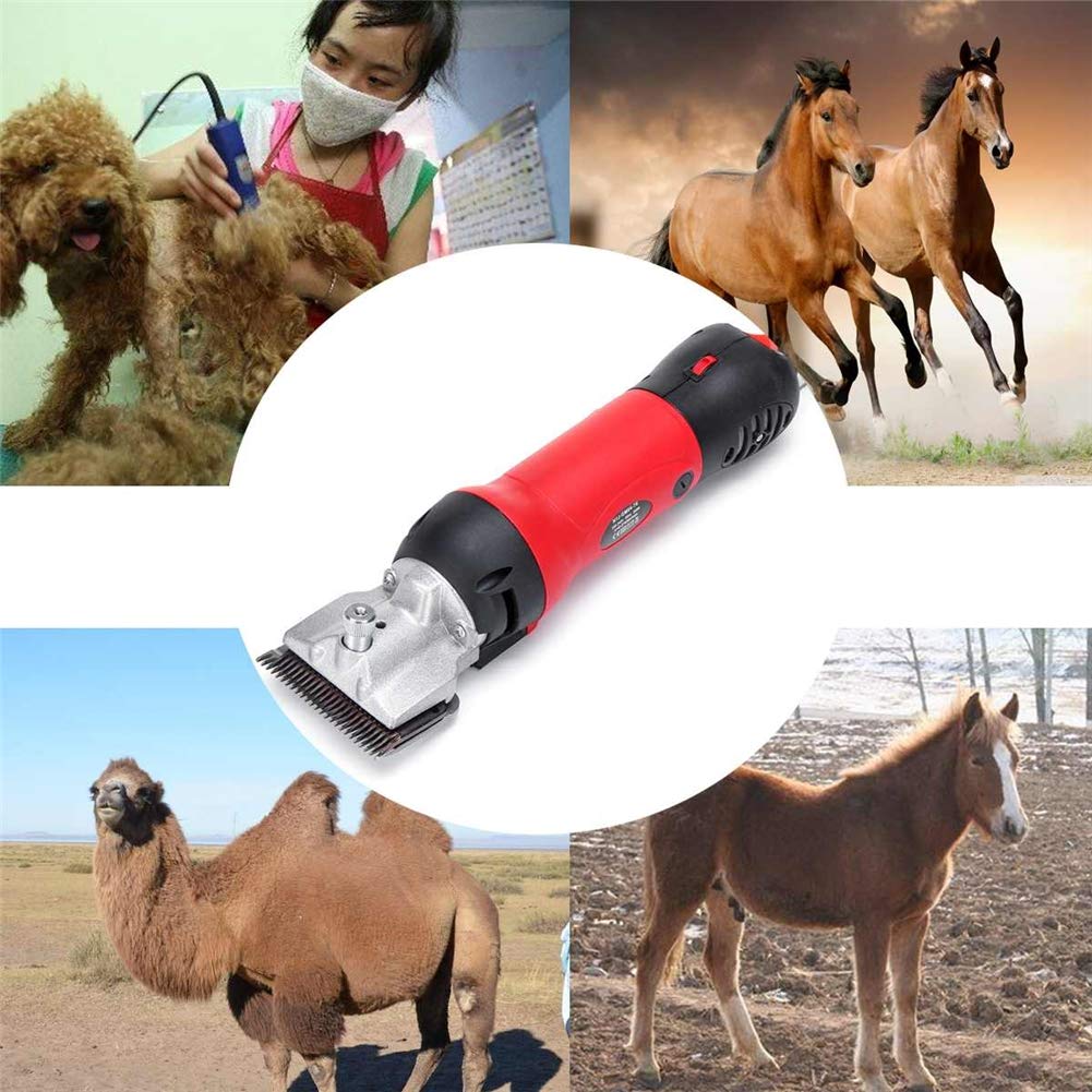 DYTWXG Cesoie elettriche Portatili per Pecore, Forbici per Alpaca, Forbici per Cavalli, Forbici per capre per tosatura, tosatrici per Animali da Pelliccia, tosatura Resistente, 6 velocità Regolabili