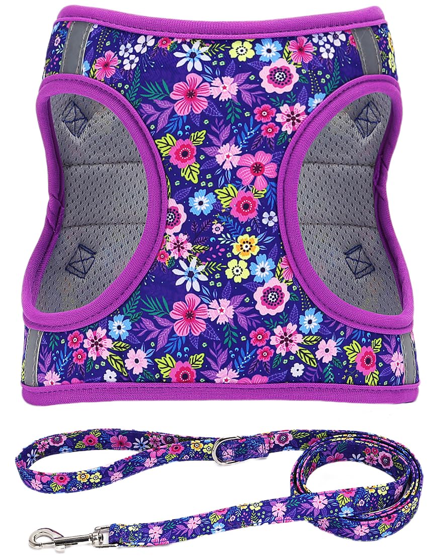 Moonpet Step in Dog Harness Leash Set- All Weather Reflective No-Pull Floral Pattern Padded Mesh Vest Harness for Cats Puppy Extra-Small Small Medium