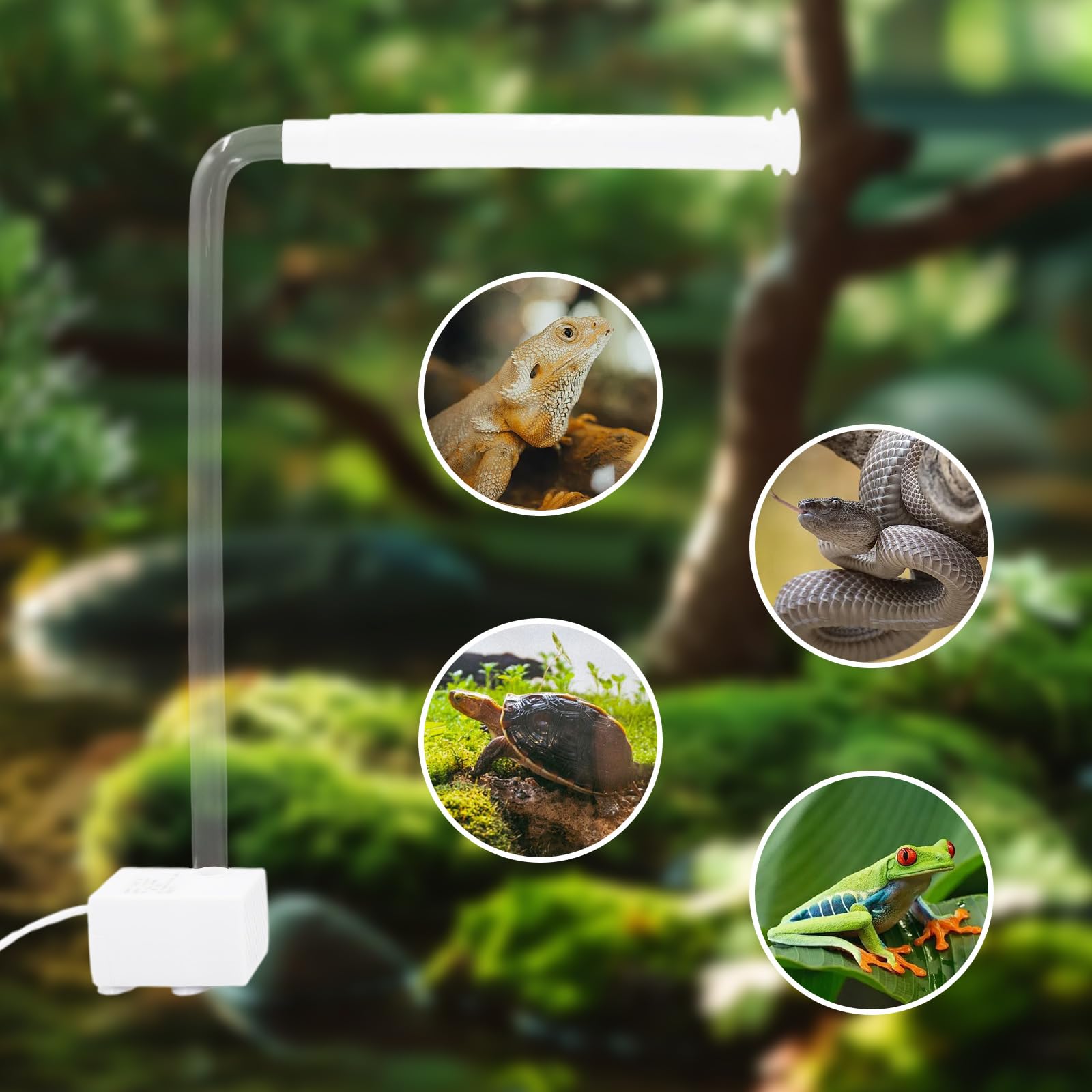 Kit doccia per rettili alimentato tramite USB con fontana a cascata e asciugamano di peluche, essenziale per il bagno per draghi barbuti, rane e piccoli animali domestici