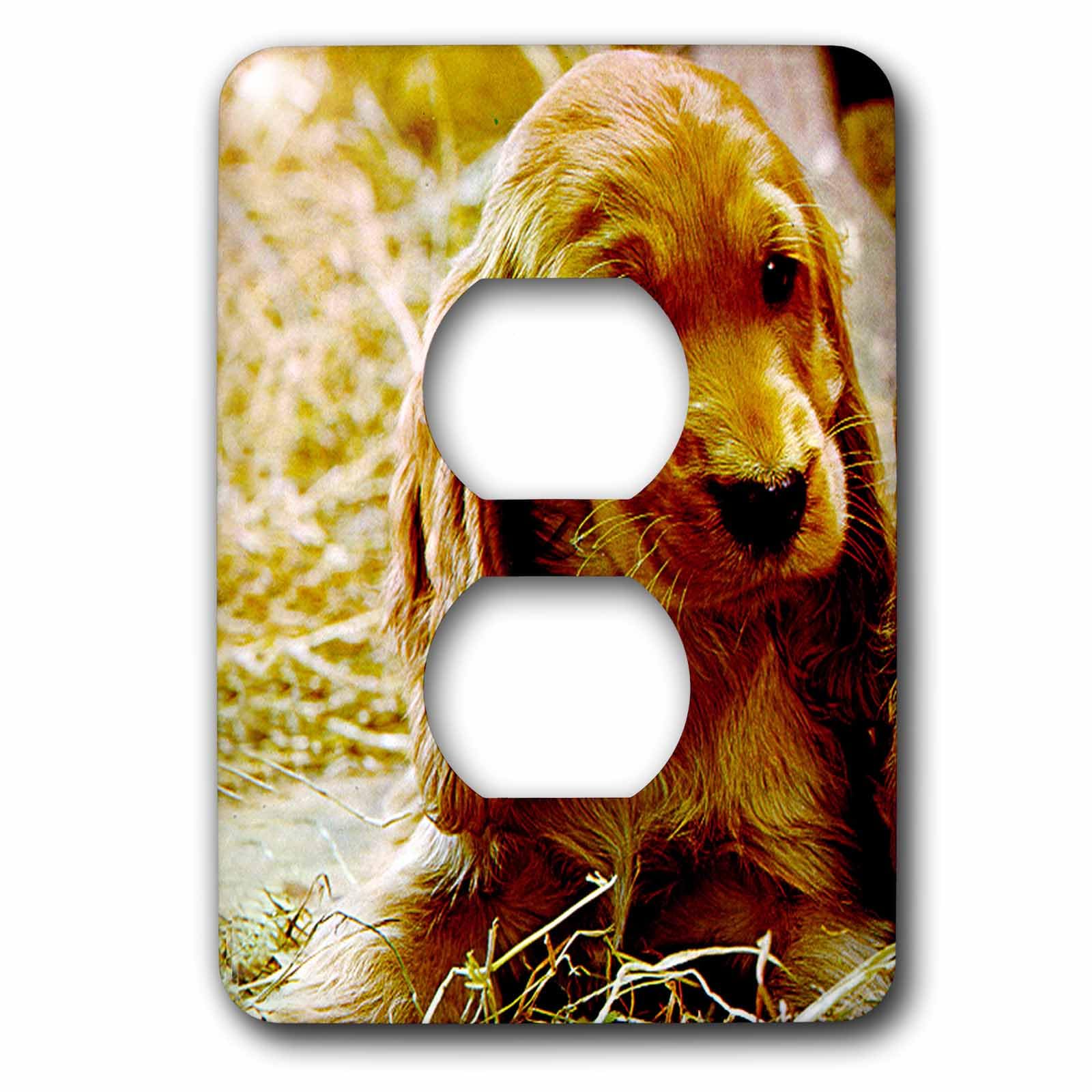 Cache-prise 2 plots Irish Setter Puppy lsp_486_6 pour maison