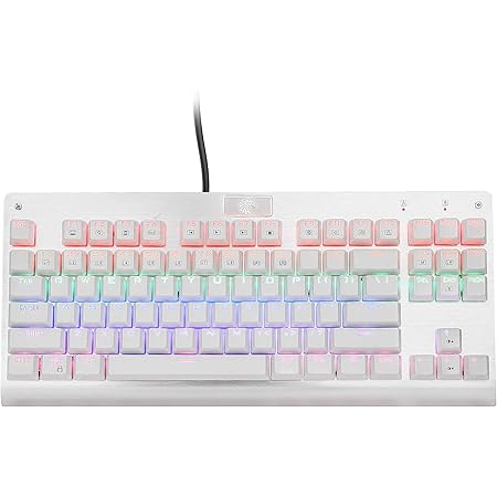 Z-77 TKL Mechanical Gaming Keyboard, Clicky Blue Switch, Rainbow Led Backlit, E-Element Metal Panel Compact 87 Keys Anti-Ghosting for PC Gamer Typing,White (US-Layout)
