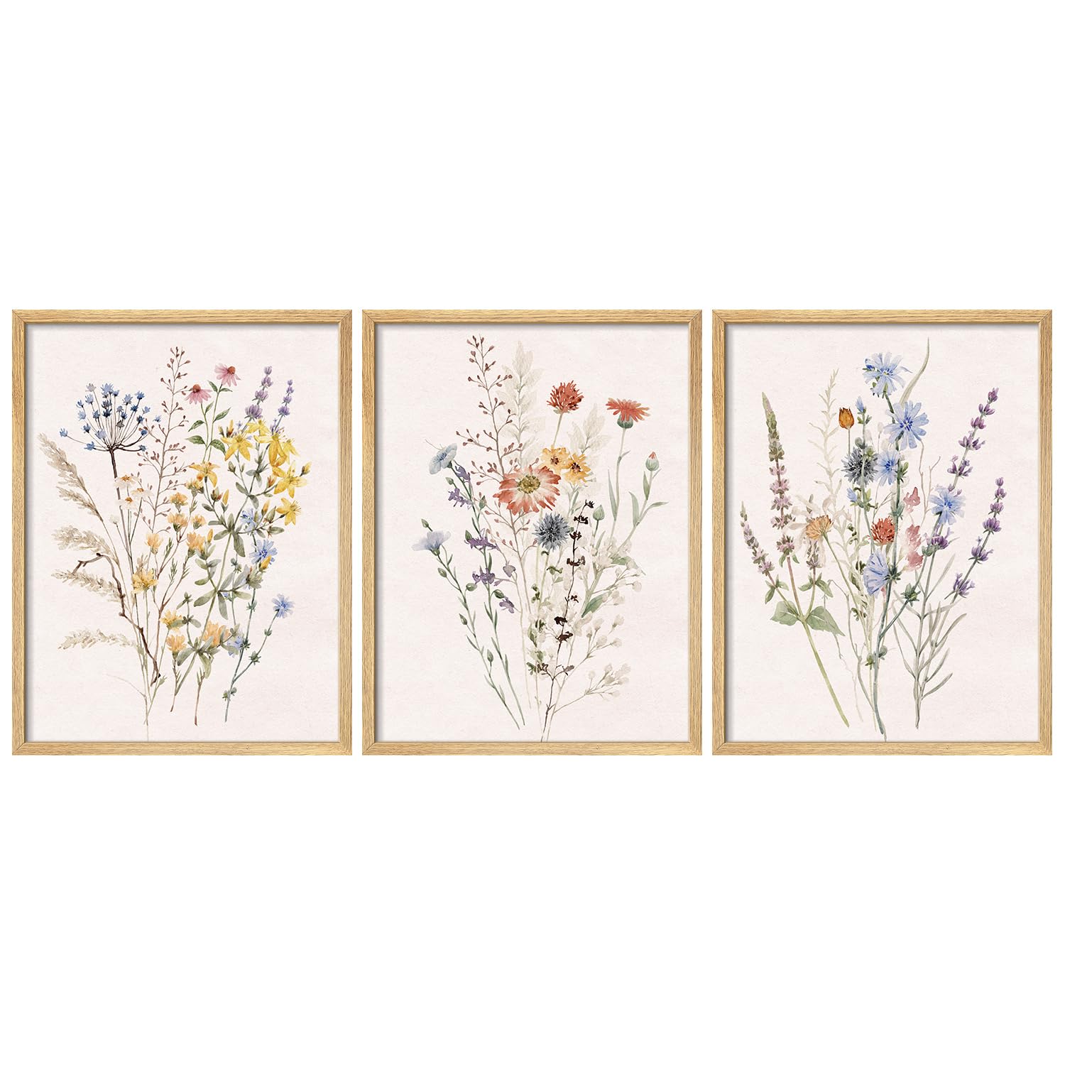 SIGNWIN Framed Poster Vintage Floral Watercolor Collection Botanical Nature Wilderness Decorative Floral Botanical Garden Multicolor for Living Room,