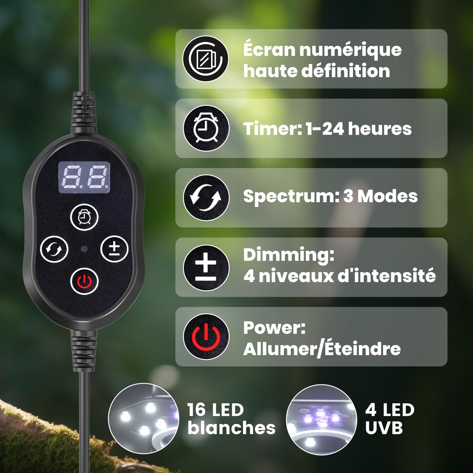 GlowUp Lampe Oiseau UVB 2.4 10W, Lumière LED à Spectre Complet pour Oiseaux avec Cordon Résistant à la Mastication, Luminaire Octogonal Dimmable pour Cage avec Prise EU et Contrôleur pour Perroquets