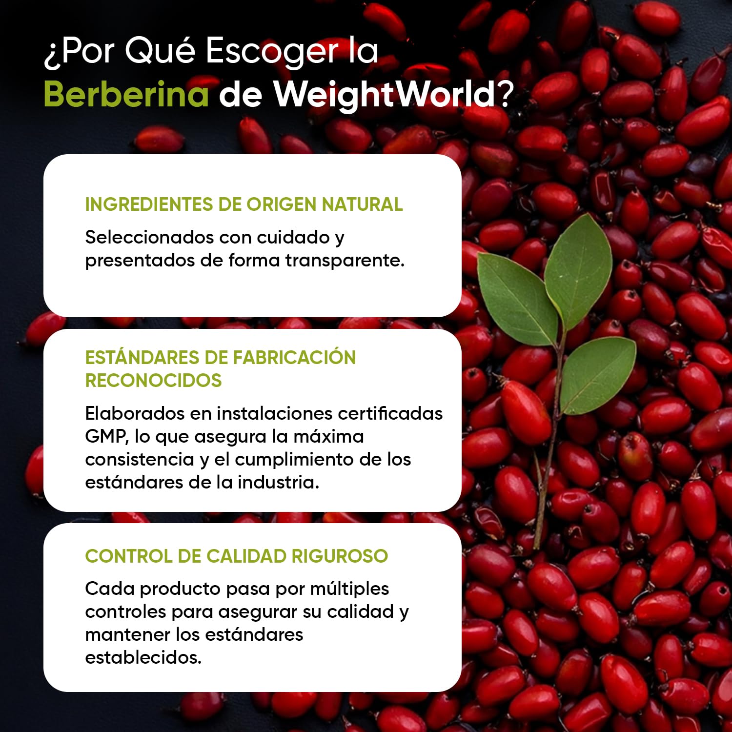 Berberina 500mg - 120 Cápsulas, 85% de Berberina Rica en Alcaloides - Para 4 Meses de Suministro - Suplemento de Berberine Apto para Veganos, Sin Alérgenos, Sin Gluten y Sin OGM