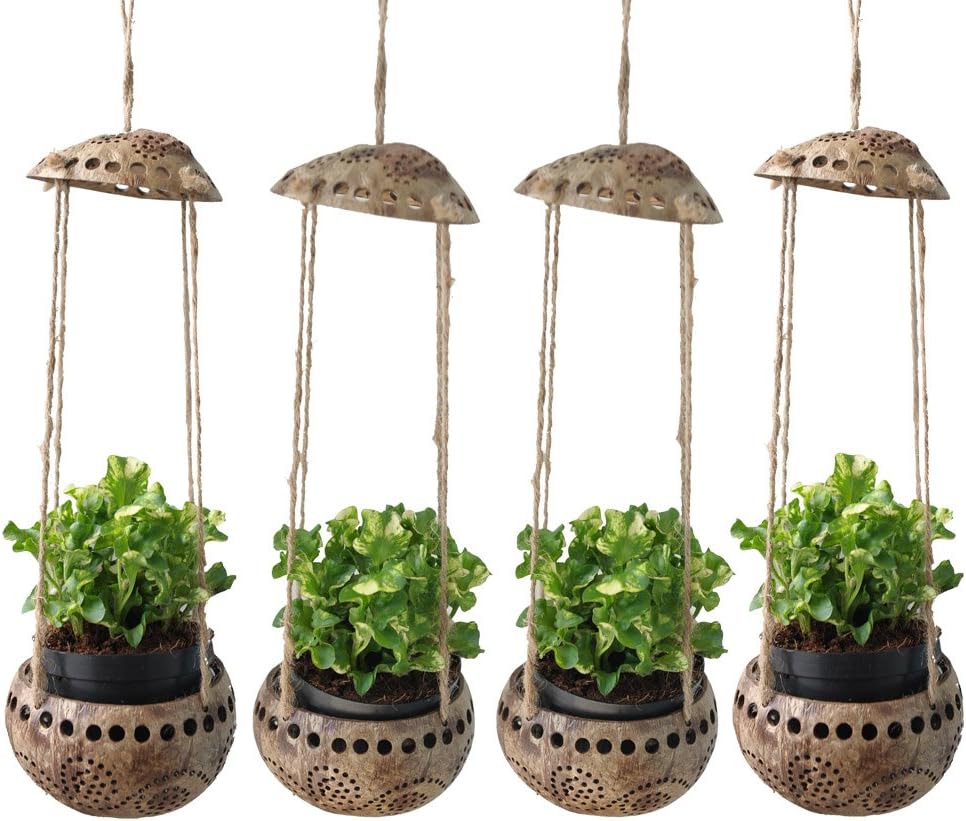 Werkryt MFi Certified iPhone Charger Lightning Cable 5 Pack [3/3/6/6/10FT] Extra Long Nylon Braided USB Charging & Syncing Cord Compatible iPhone Xs/Max/XR/X/8/8Plus/7/7Plus/6S/6S Plus/SE/iPad/Nan Mor