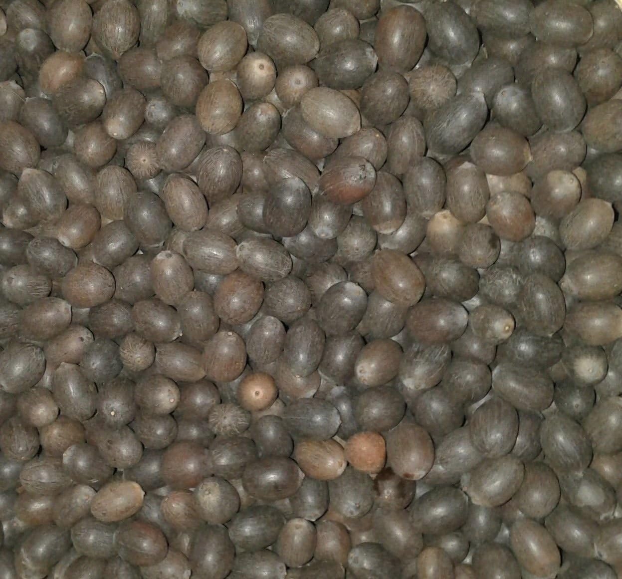 Kamal Gatta Beads 120g Lotus Seeds - Whole Beads 100% Original - For Lakshmi Puja and Other Spirituality